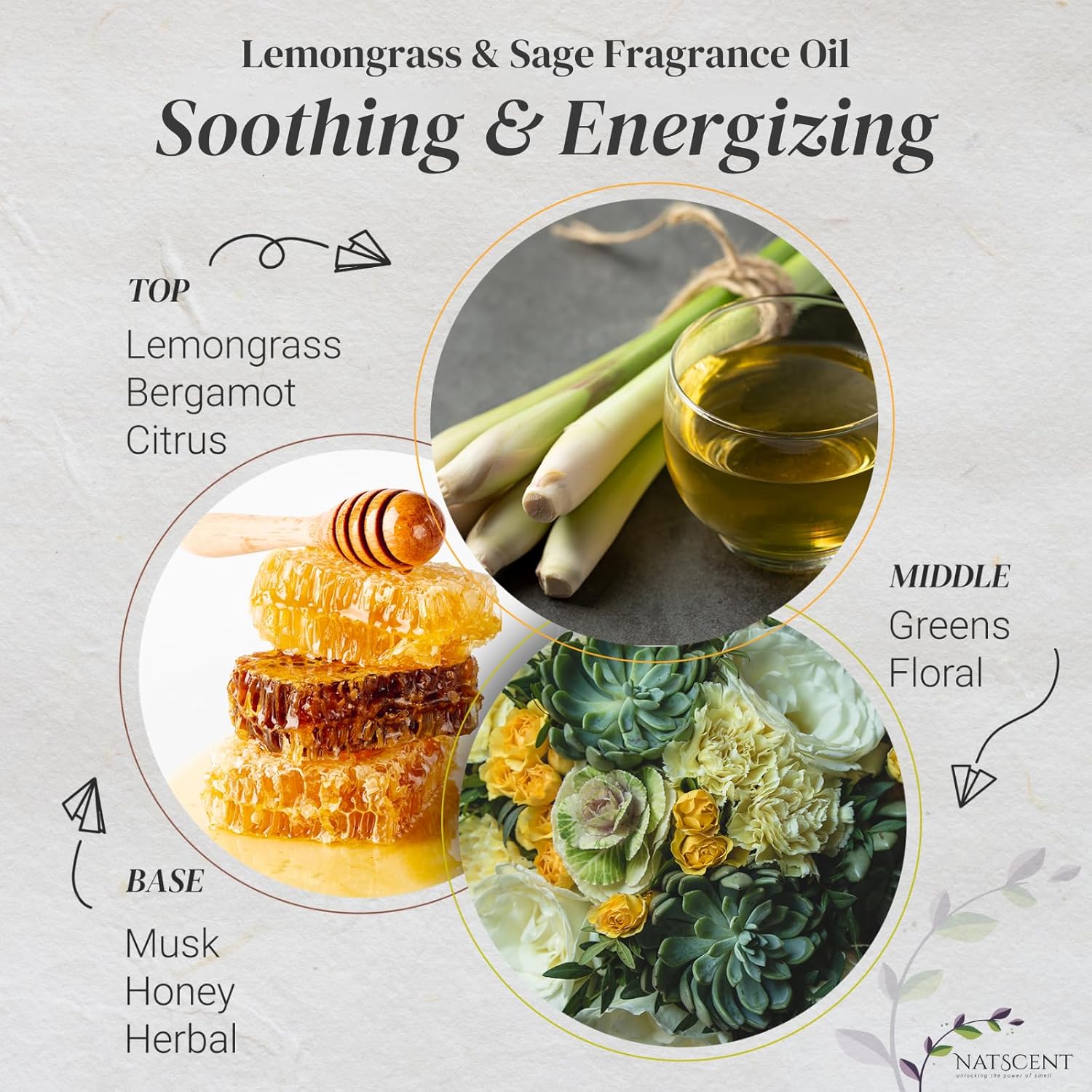 Lemongrass & Sage Essential Oils for Diffusers for Home, Nature-derived Essential Oil, Long-Lasting & Family-Friendly Diffuser Oils Scents, IFRA Certified, Cold Air & Ultrasonic - 4 oz