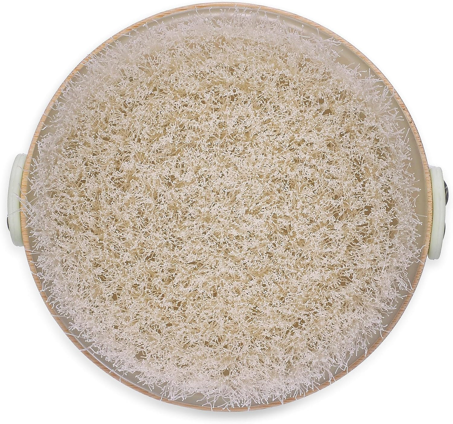 Earth Therapeutics Dry Brush