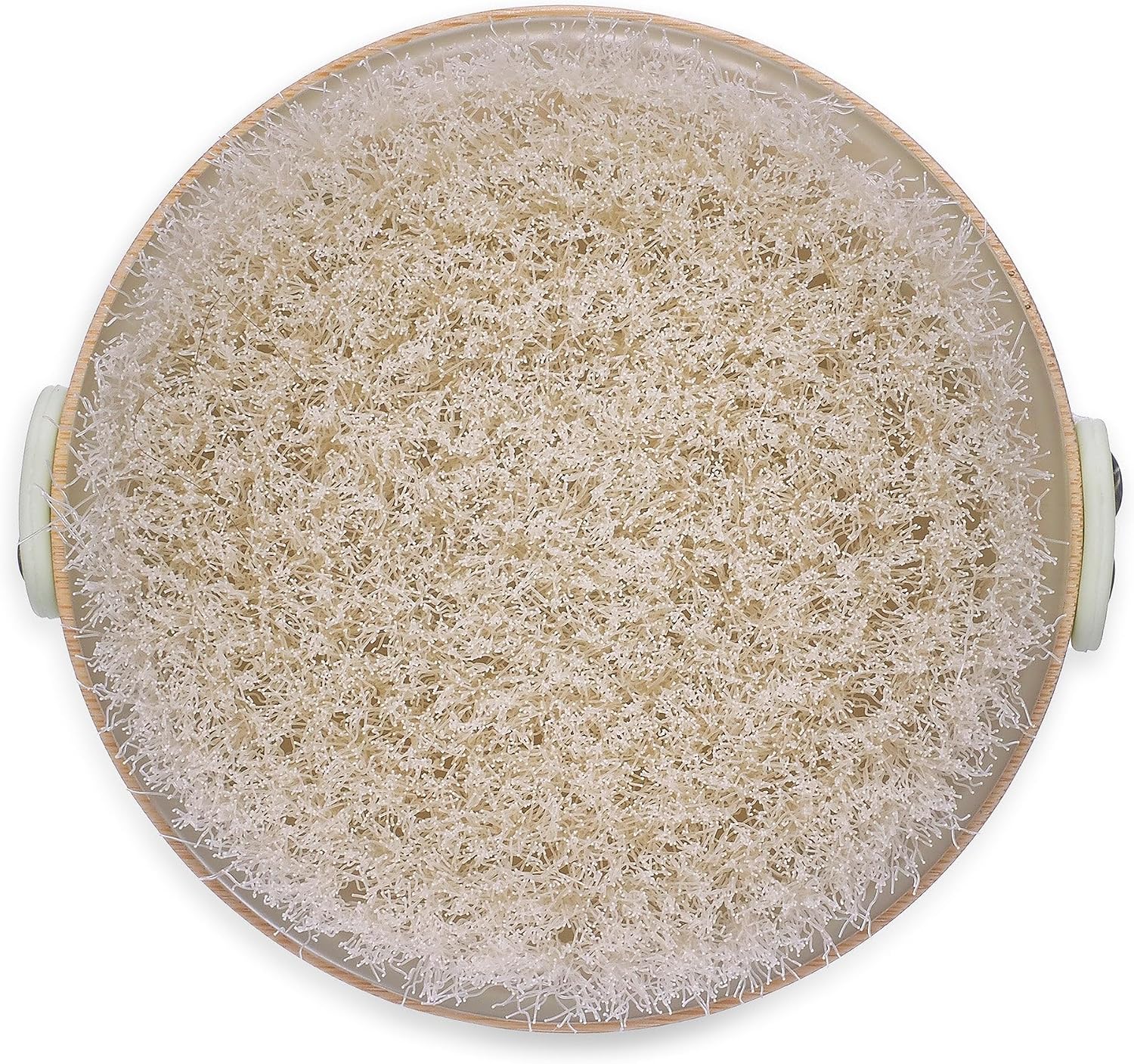 Earth Therapeutics Dry Brush
