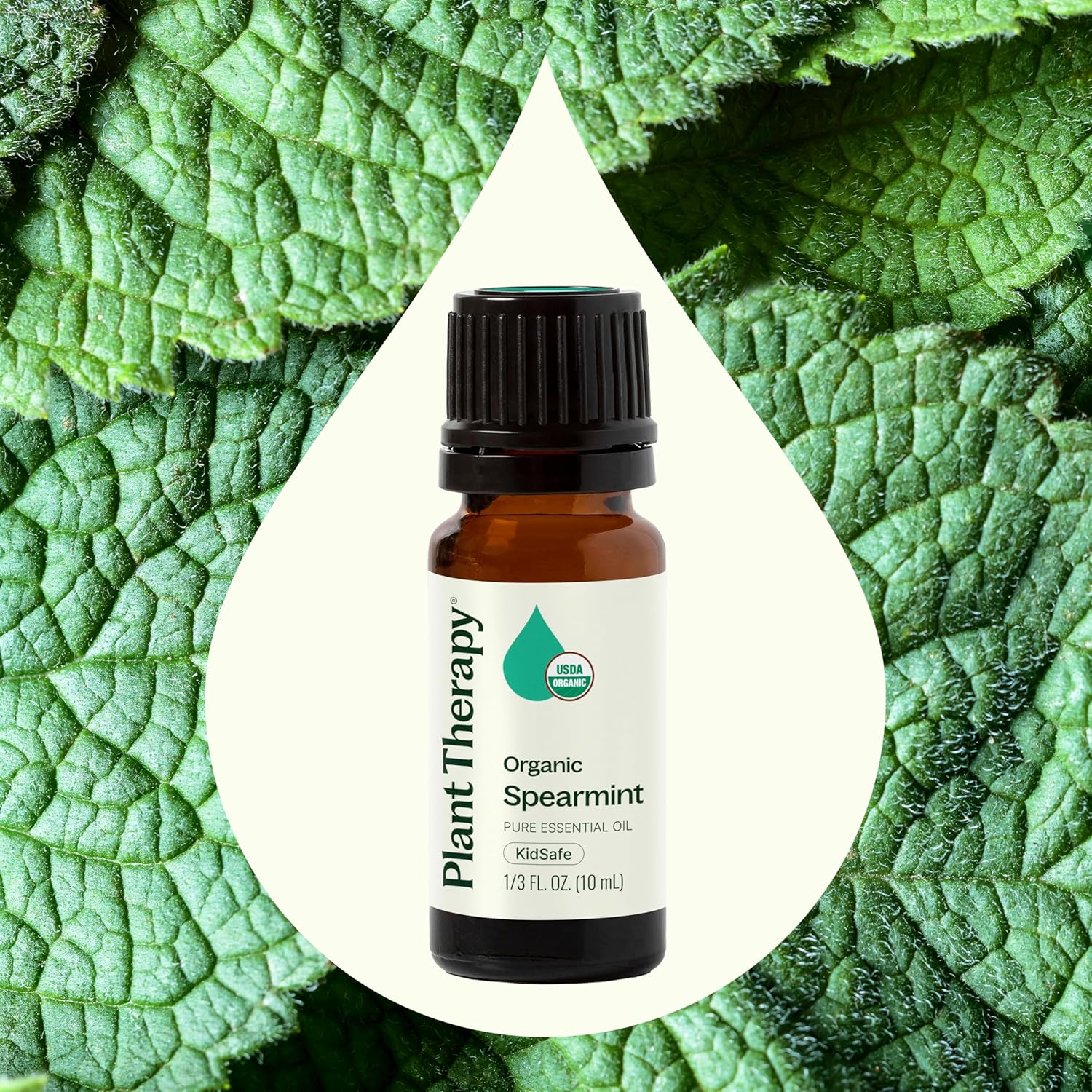 Plant Therapy USDA Certified Organic Spearmint Essential Oil 10 mL (1/3 oz) 100% Pure, Undiluted, Digestive Health, Fresh Scent