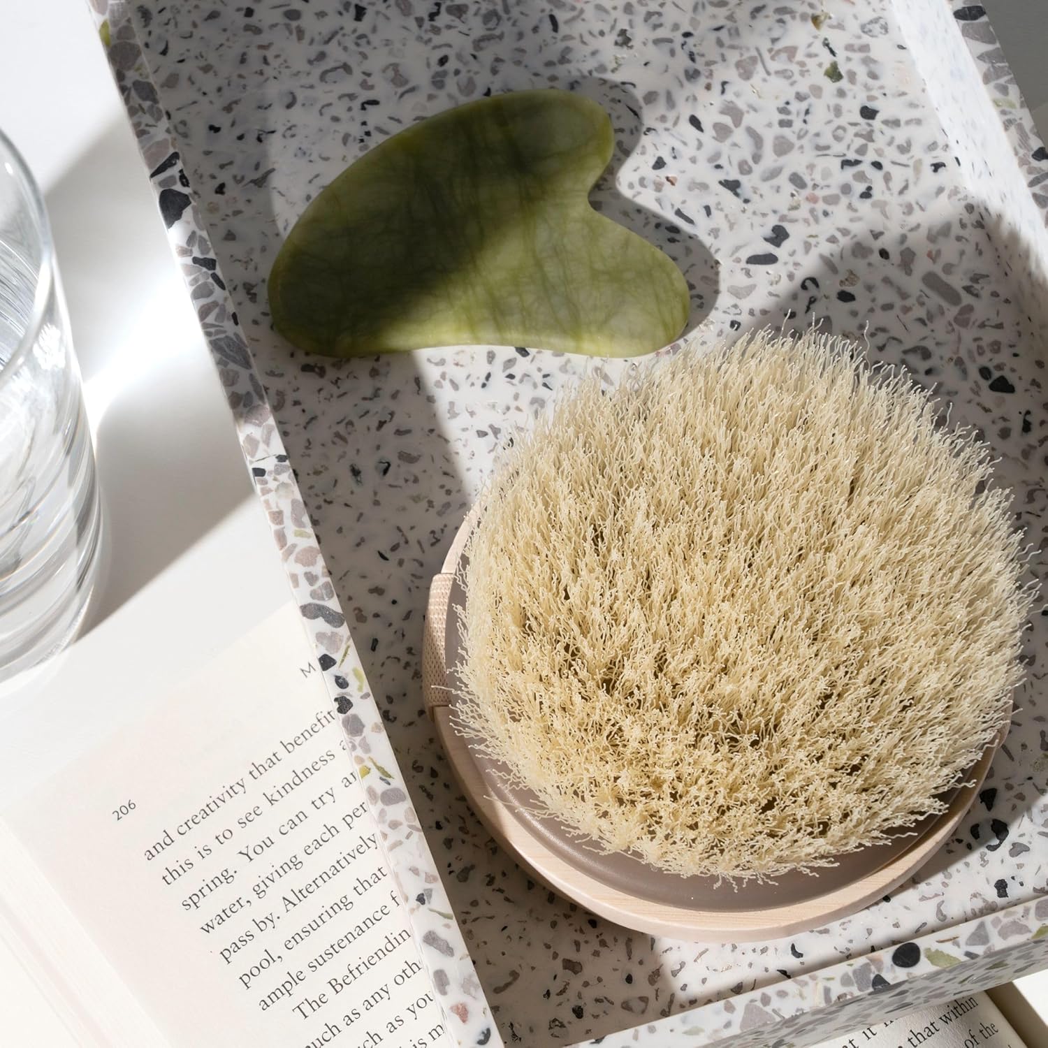 EcoTools Dry Body Brush, Cruelty-Free Bristles Exfoliate & Smooth Skin, Dry Brushing Removes Flaky Skin, May Help Improve Circulation & Tone, Vegan & Cruelty-Free, 1 Count