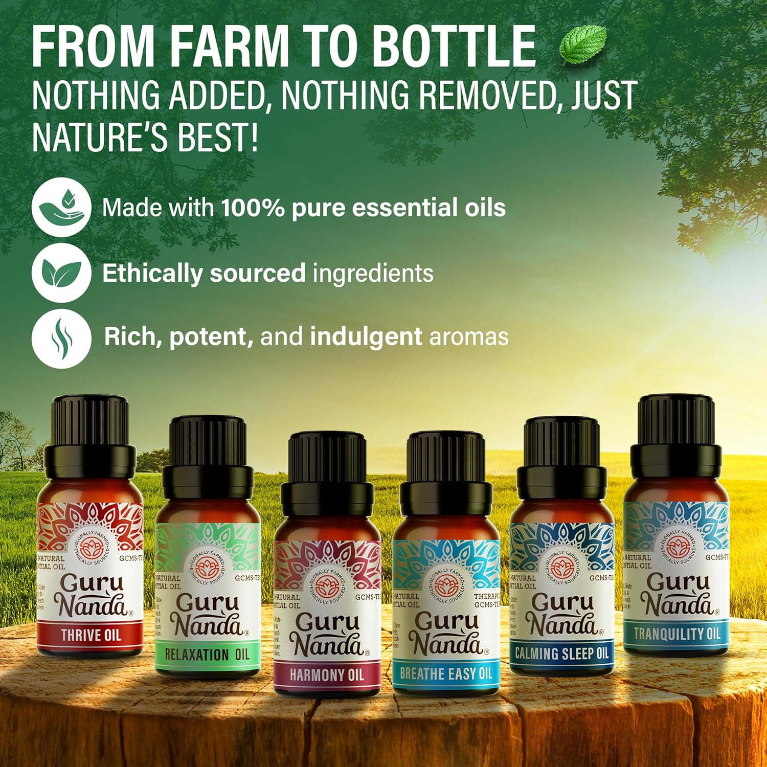 GuruNanda Essential Oil Blends – 6 Pack (10mL Each), Breathe Easy, Tranquility, Relaxation, Harmony, Calming Sleep & Thrive, Natural Aromatherapy Oils for Diffuser, Wellness & DIY