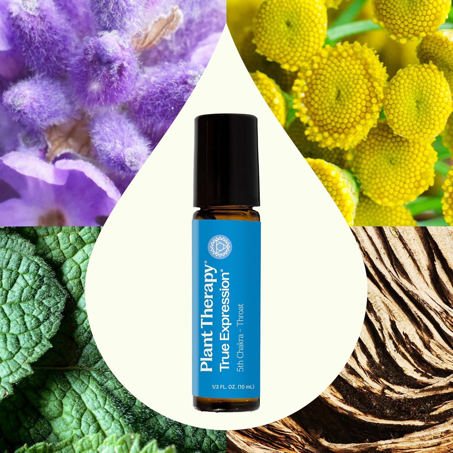 Plant Therapy Chakra 5 True Expression Essential Oil Blend (Throat Chakra) Pre-Diluted Roll-On 10 mL (1/3 oz) 100% Pure