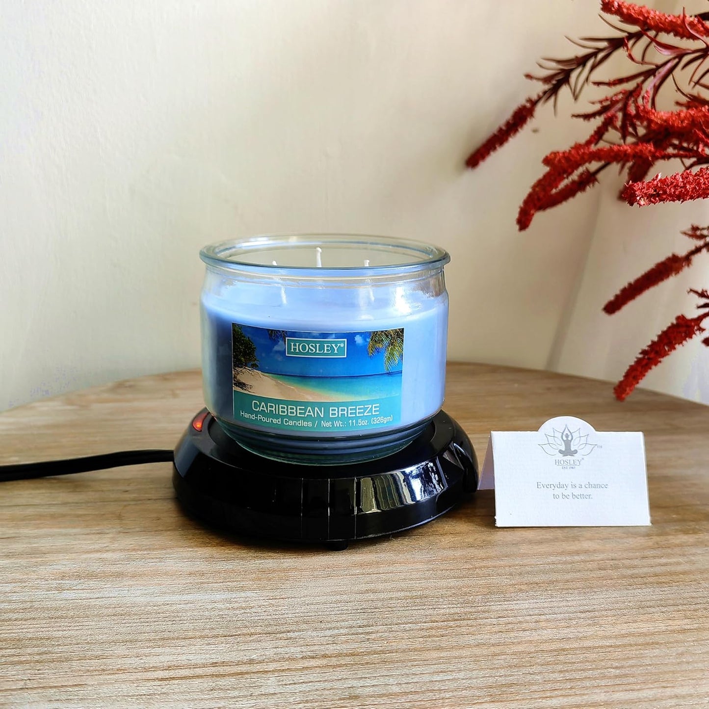 Hosley Black Electric Candle Warmer Large 5.4 Inch Diameter Ideal for Aromatherapy Home Office Dorm Rooms Hotels or Any Place that You Cannot Have an Open Flame