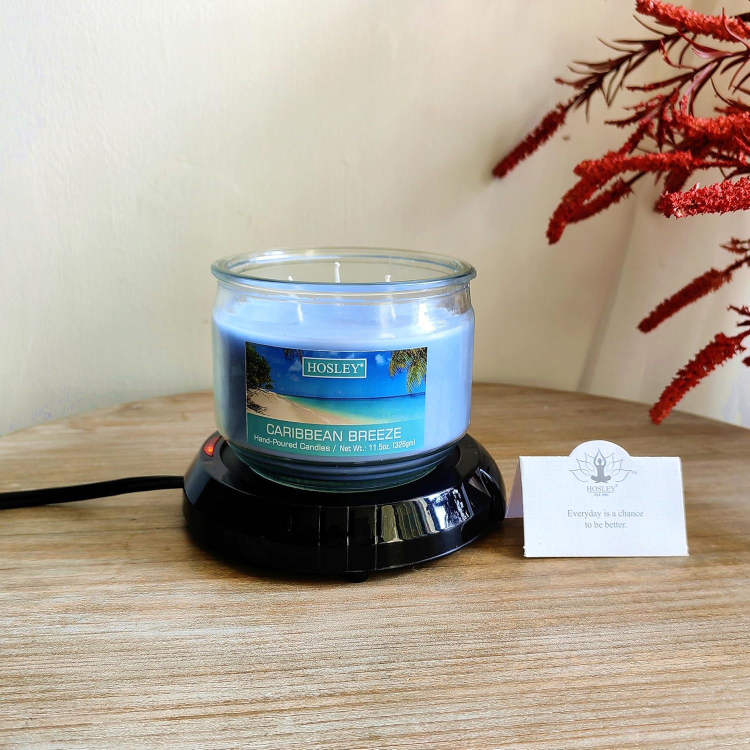 Hosley Black Electric Candle Warmer Large 5.4 Inch Diameter Ideal for Aromatherapy Home Office Dorm Rooms Hotels or Any Place that You Cannot Have an Open Flame