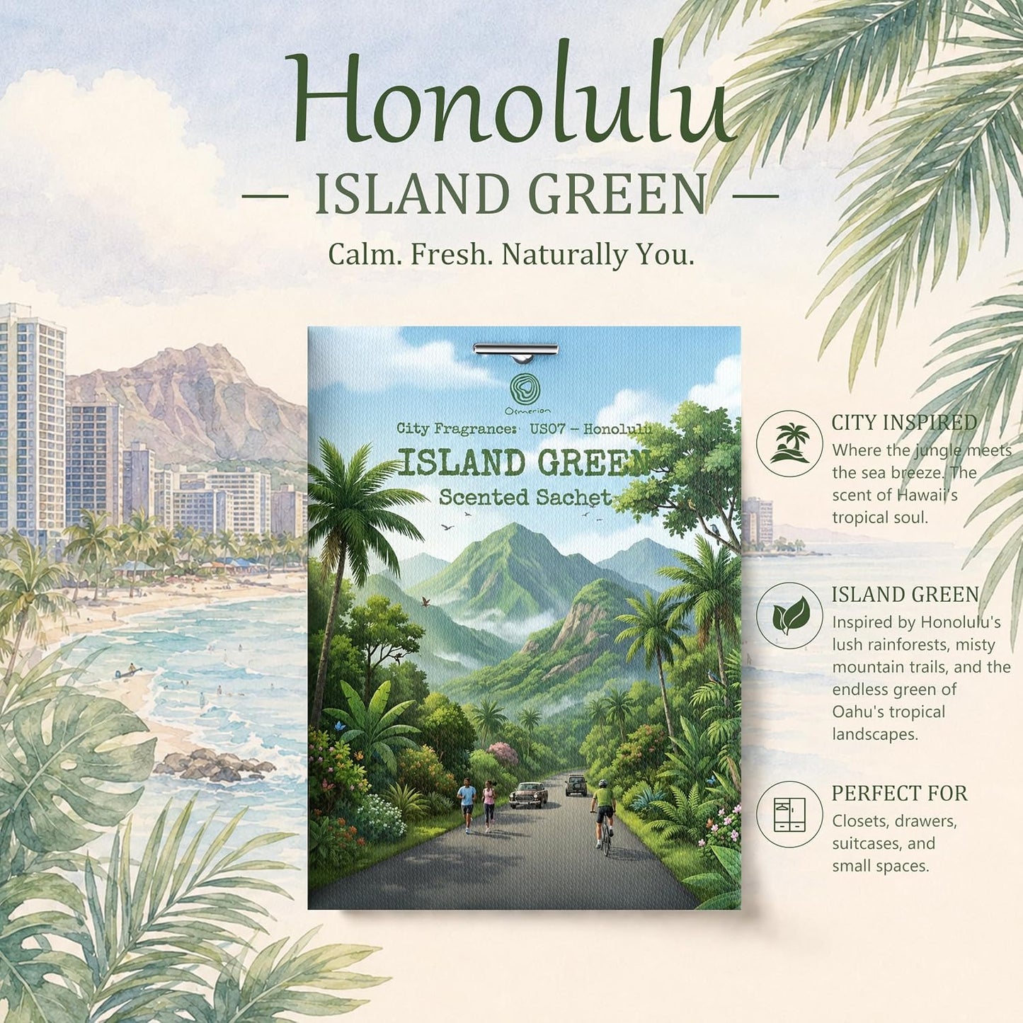 US07-Honolulu Island Green Scented Sachets for Drawers and Closets, Car Air Freshener Bags, Island Green Closet Freshener and Odor Eliminator for Wardrobe, Dresser, Car 12 Pack