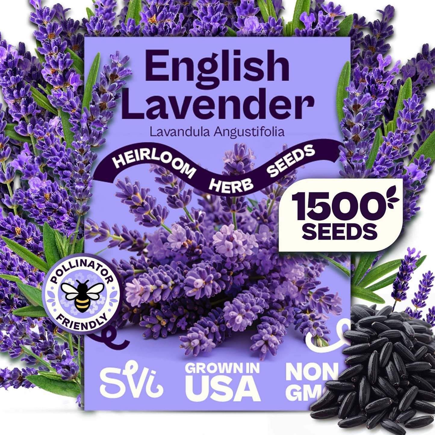 SVI 1500 English Lavender Seeds for Planting (Lavandula angustifolia) – Fragrant Perennial Lavender Flowers – Heirloom Herb Seeds for Borders, Herb Garden & Containers, Wildflower Meadows
