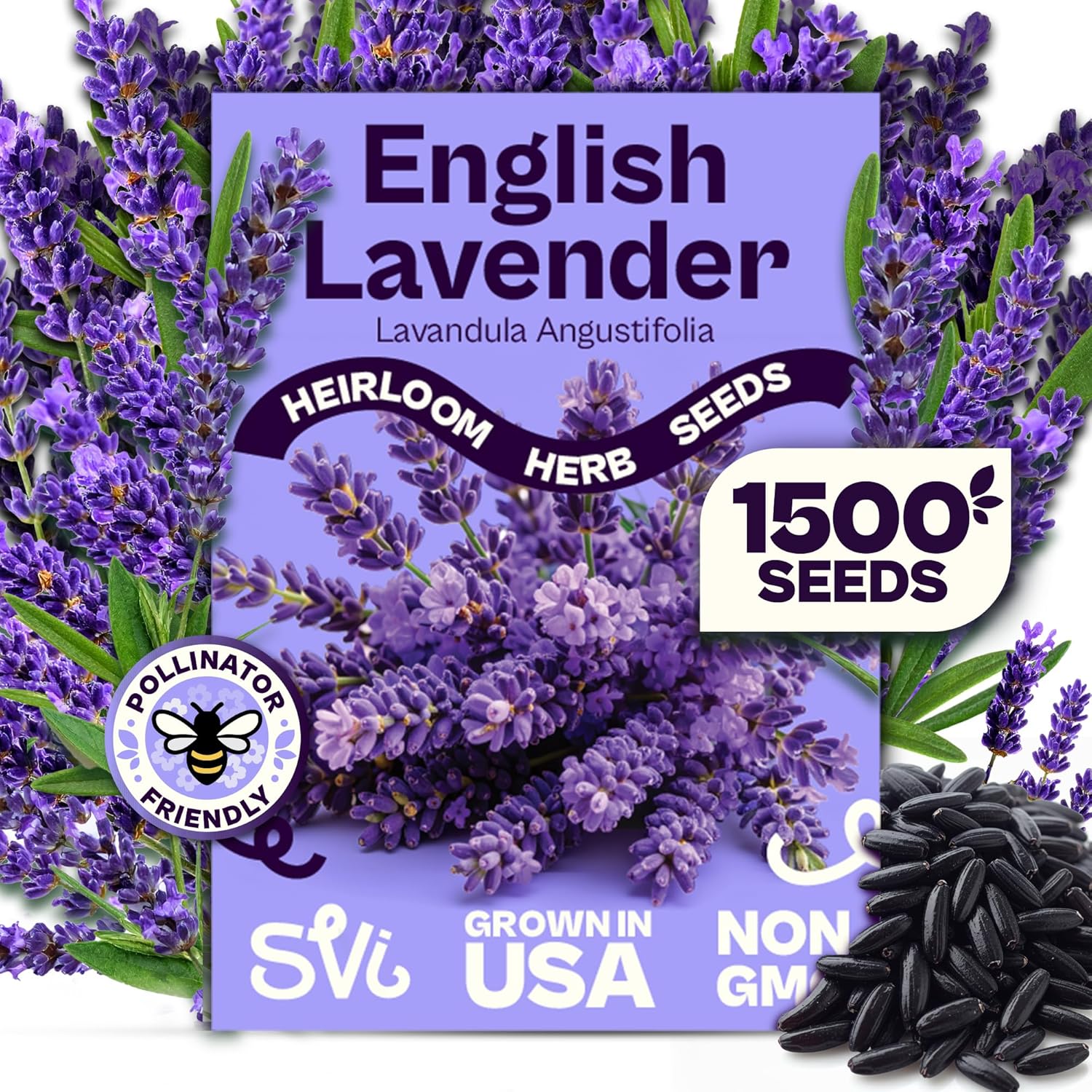 SVI 1500 English Lavender Seeds for Planting (Lavandula angustifolia) – Fragrant Perennial Lavender Flowers – Heirloom Herb Seeds for Borders, Herb Garden & Containers, Wildflower Meadows