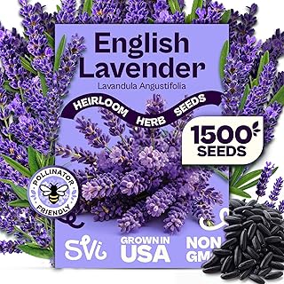 SVI 1500 English Lavender Seeds for Planting (Lavandula angustifolia) – Fragrant Perennial Lavender Flowers – Heirloom Herb Seeds for Borders, Herb Garden & Containers, Wildflower Meadows