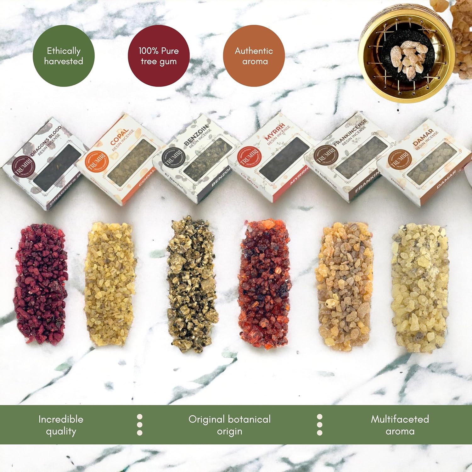 Resin Incense - Natural Tree Gum Sap - 6x30g Variety Pack Including Frankincense and Myrrh Copal Benzoin Dragon's Blood Damar
