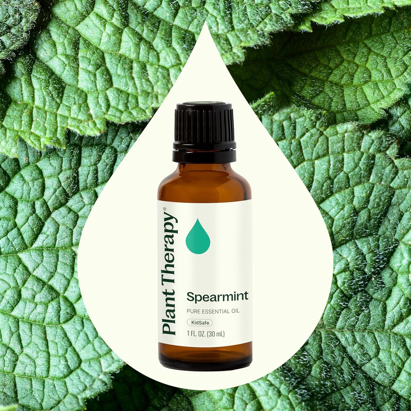 Plant Therapy Spearmint Essential Oil 30 mL (1 oz) 100% Pure, Undiluted, Digestive Health, Fresh Scent, Tension Relief