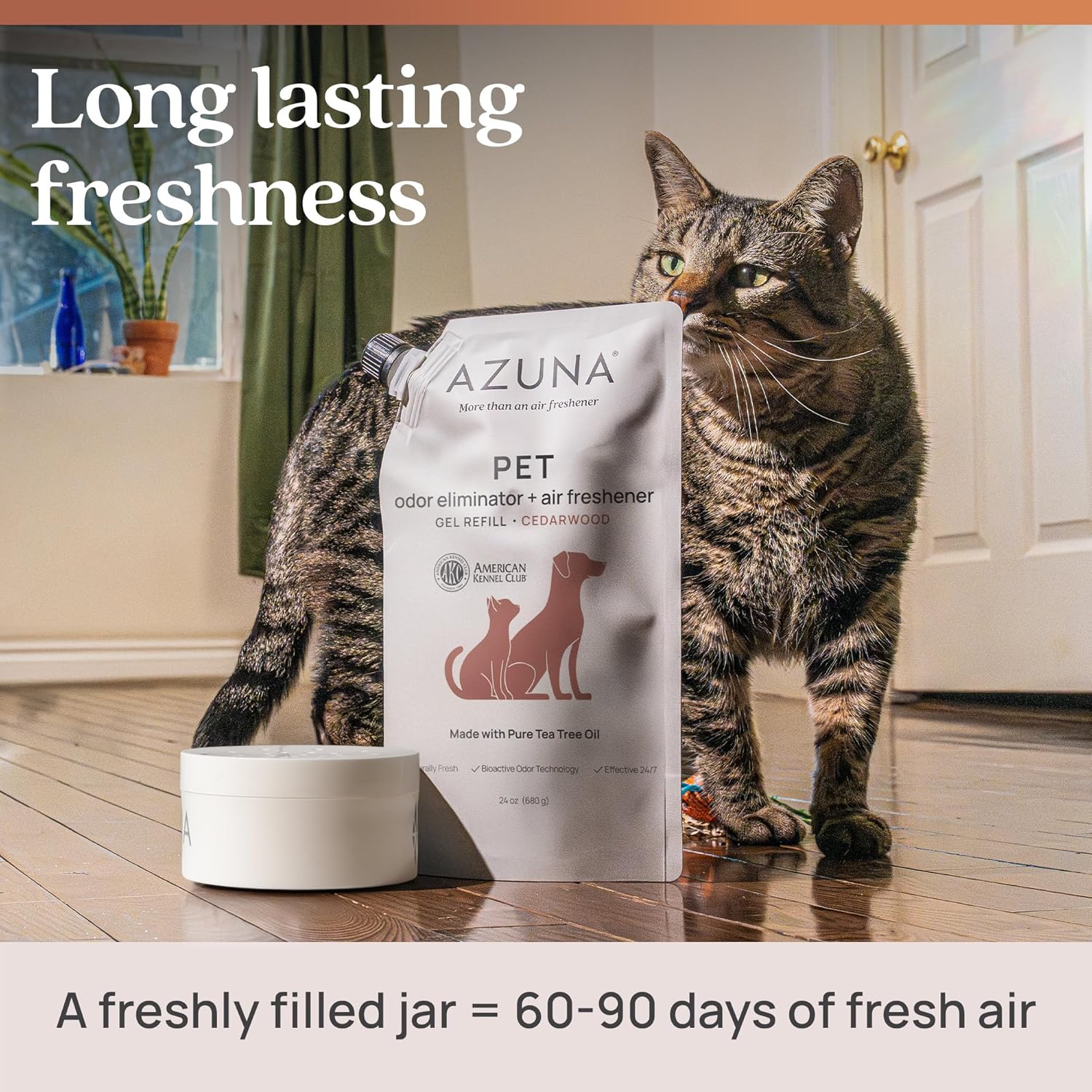 Azuna Pet Odor Eliminator for Strong Odor Gel | Plant Powered Australian Tea Tree Oil | Dog and Cat Room Deodorizer | Child and Pet Safe Air Fresheners for home | Cedarwood Scent | 8oz Pod
