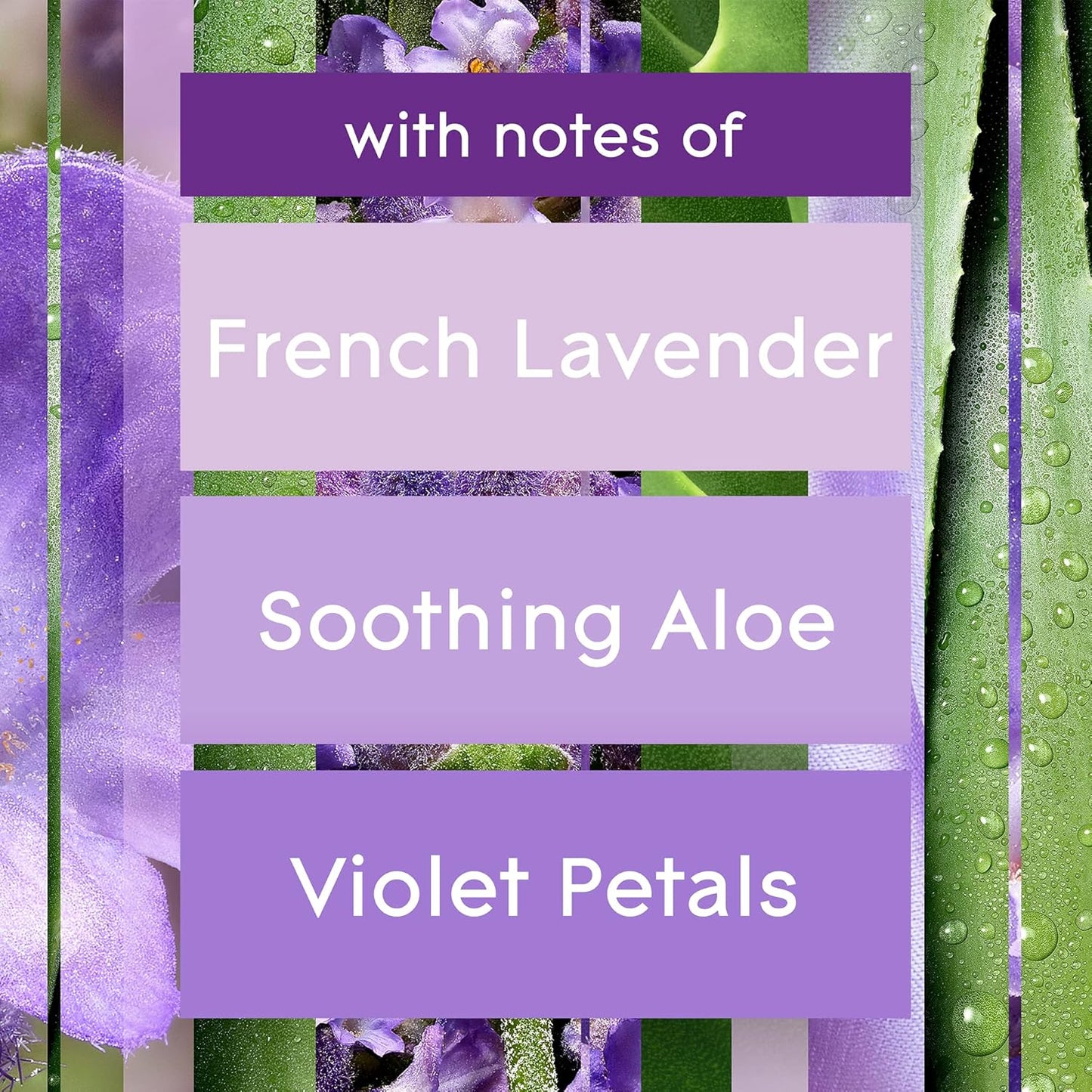 Glade Automatic Spray Refill, Air Freshener for Home and Bathroom, Tranquil Lavender & Aloe, 6.2 Oz, 3 Count