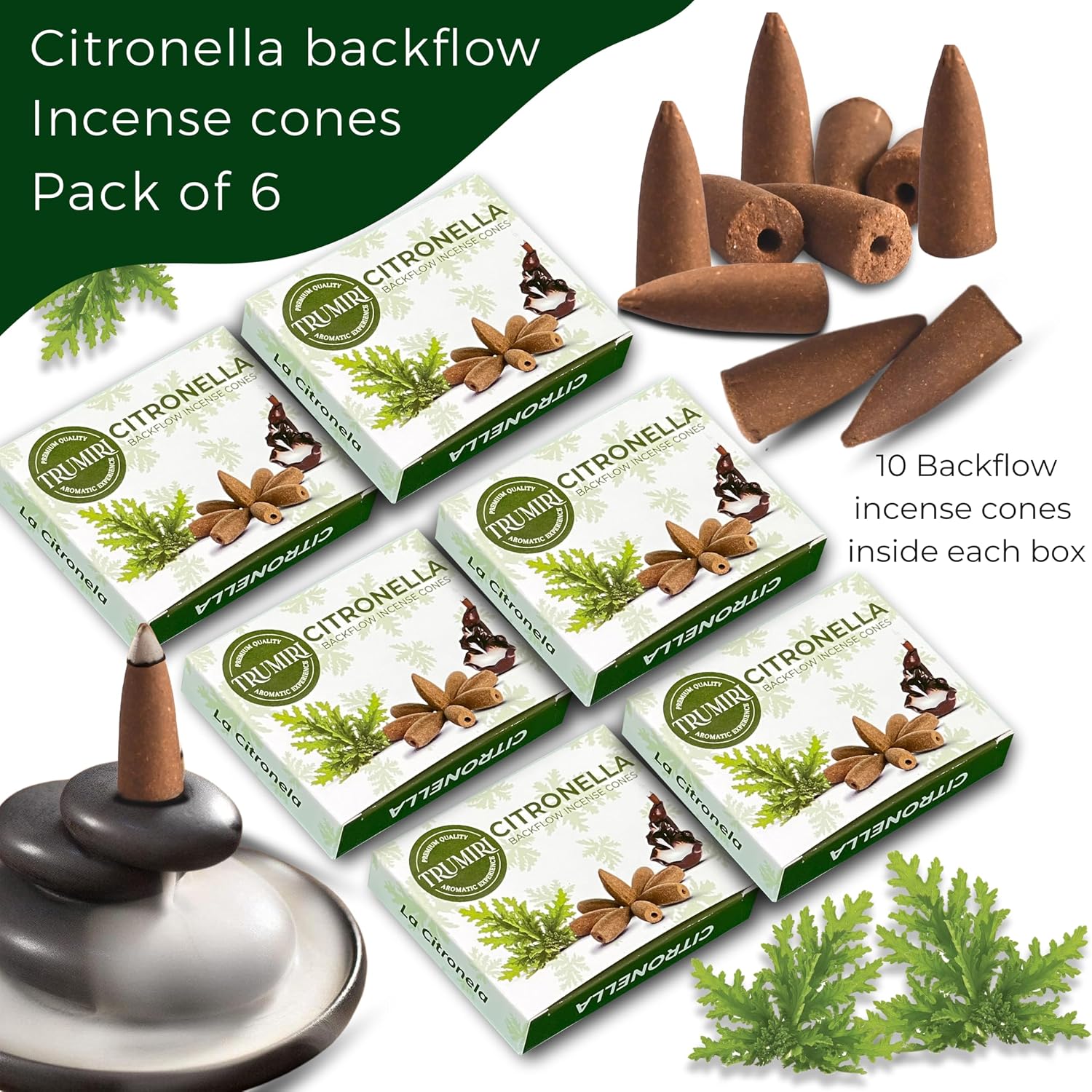 Citronella Backflow Incense Cones - 60 TotalIncense Waterfall Cones - 6 Packs (10 Each)