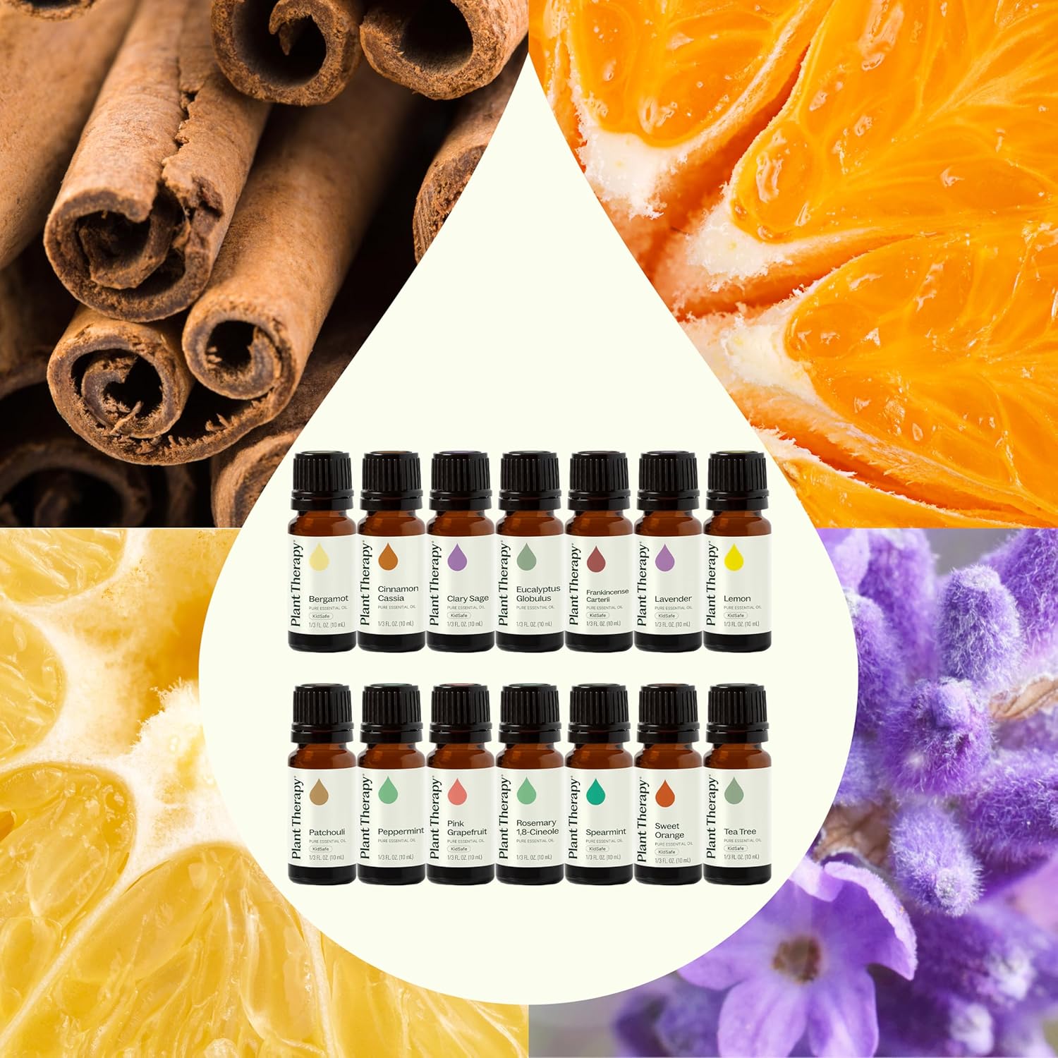 Plant Therapy Top 14 Essential Oil Set, 10 mL (1/3 oz) Bottles of Lavender, Eucalyptus, Peppermint, Orange Sweet, Lemon & More, 100% Pure, Undiluted, for Topical Use & Essential Oil Diffusers