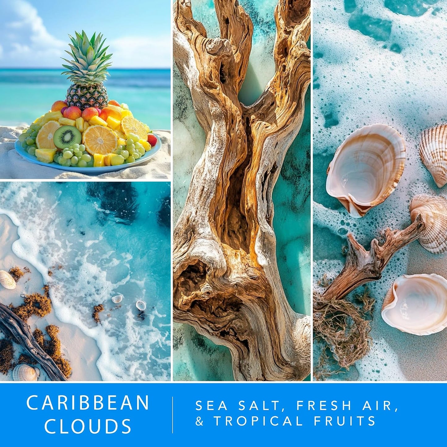ScentSationals Caribbean Clouds Scented Wax Melts - Sea Salt, Fresh Air, & Tropical Fruits, 10oz (24 Cubes)
