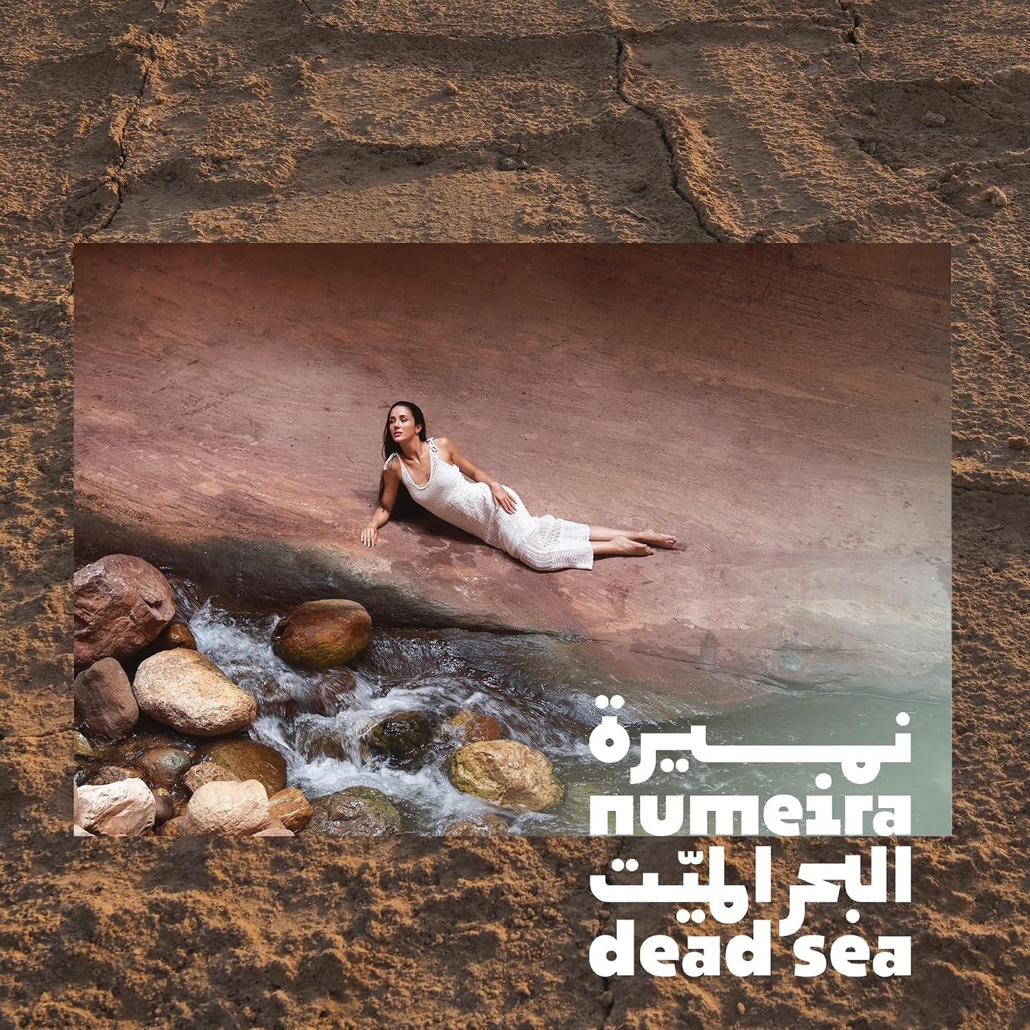 Dead Sea Mud Soap - Purifying Mineral-Rich Face & Body Bar - Natural Bar Soap with Olive Oil, Sweet Almond Oil, Vitamin E, and Dead Sea Mud Harvested from Jordan