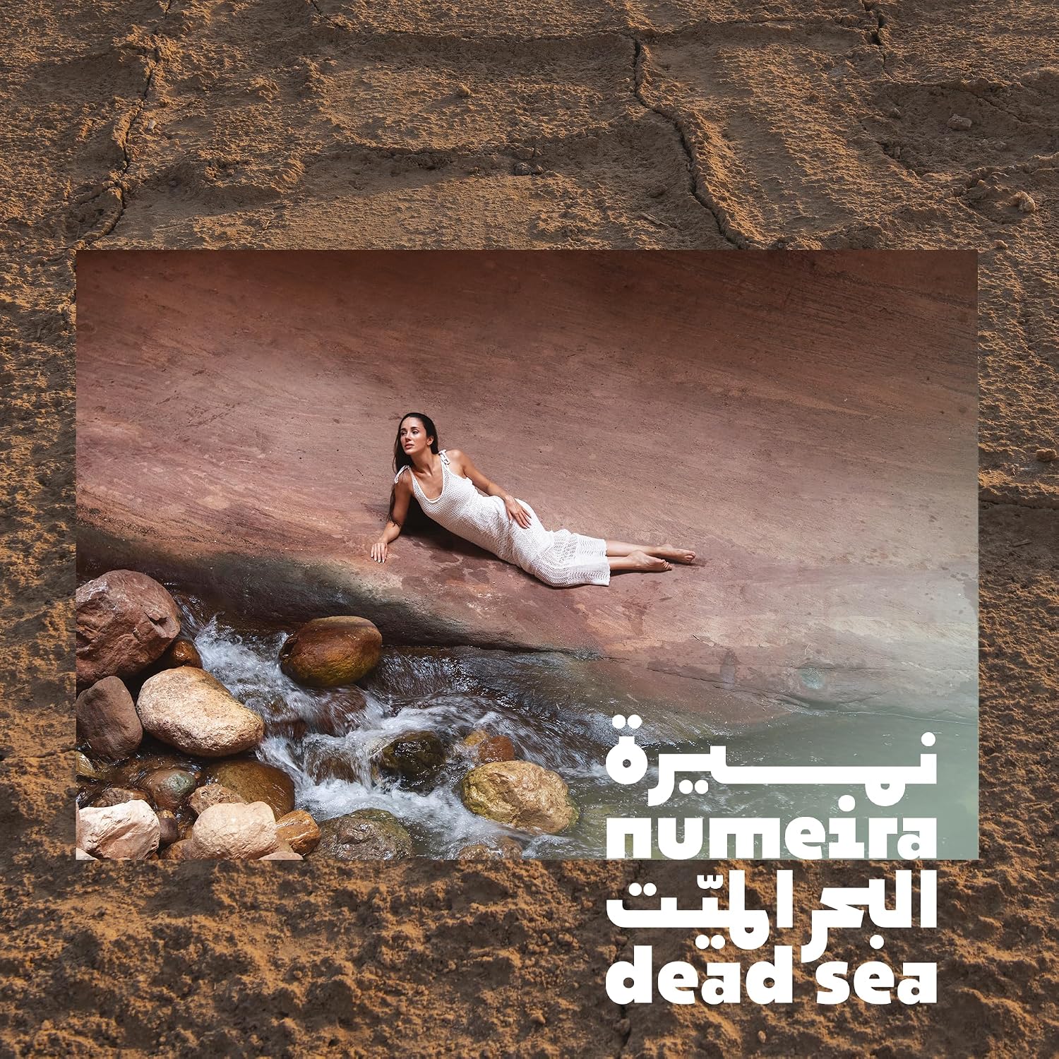 Dead Sea Mud Soap - Purifying Mineral-Rich Face & Body Bar - Natural Bar Soap with Olive Oil, Sweet Almond Oil, Vitamin E, and Dead Sea Mud Harvested from Jordan