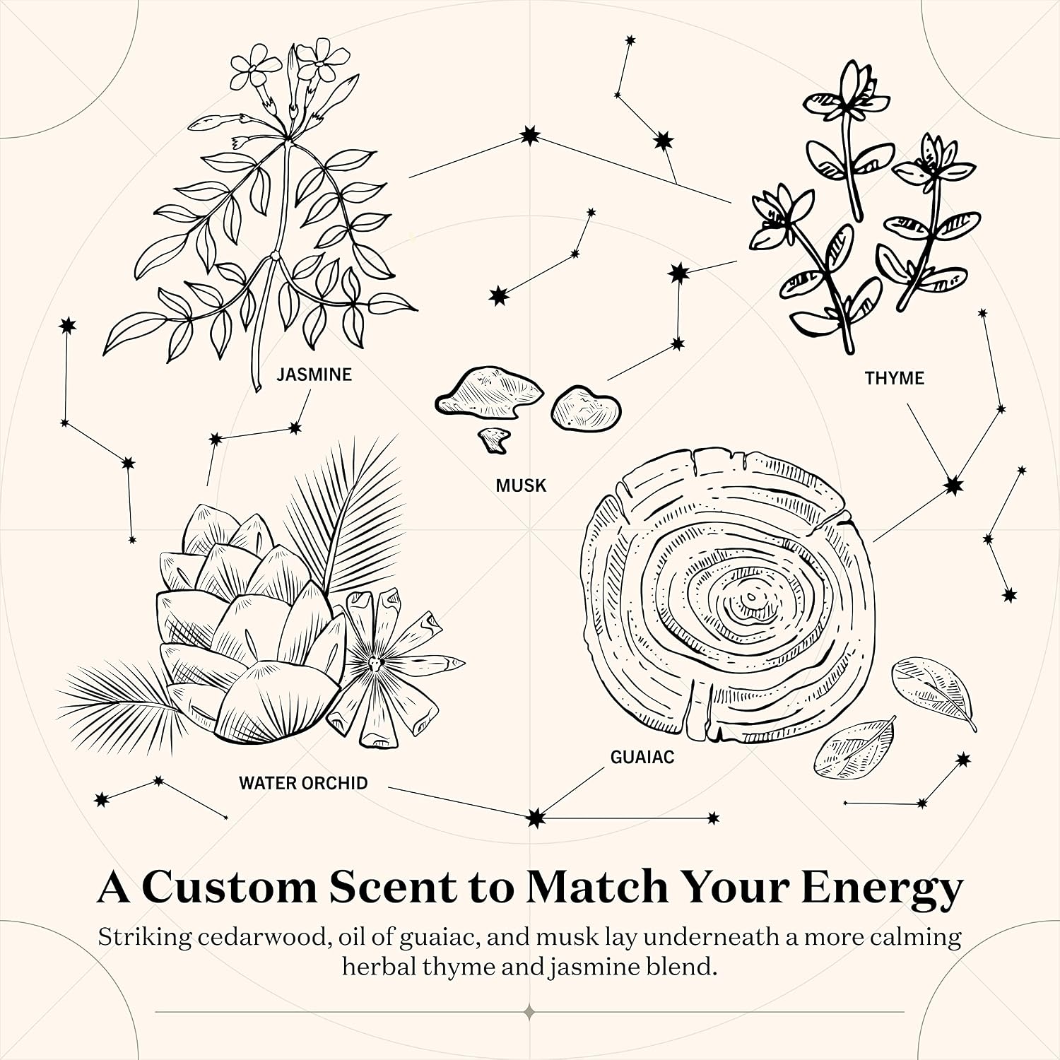 Birthdate Candles, March 1 - Pisces Zodiac Scented Candles Birthday Gift - Jasmine, Cedarwood & Thyme Scent - All-Natural Soy & Coconut Wax, 60-80 Hour Burn Time - Made in USA