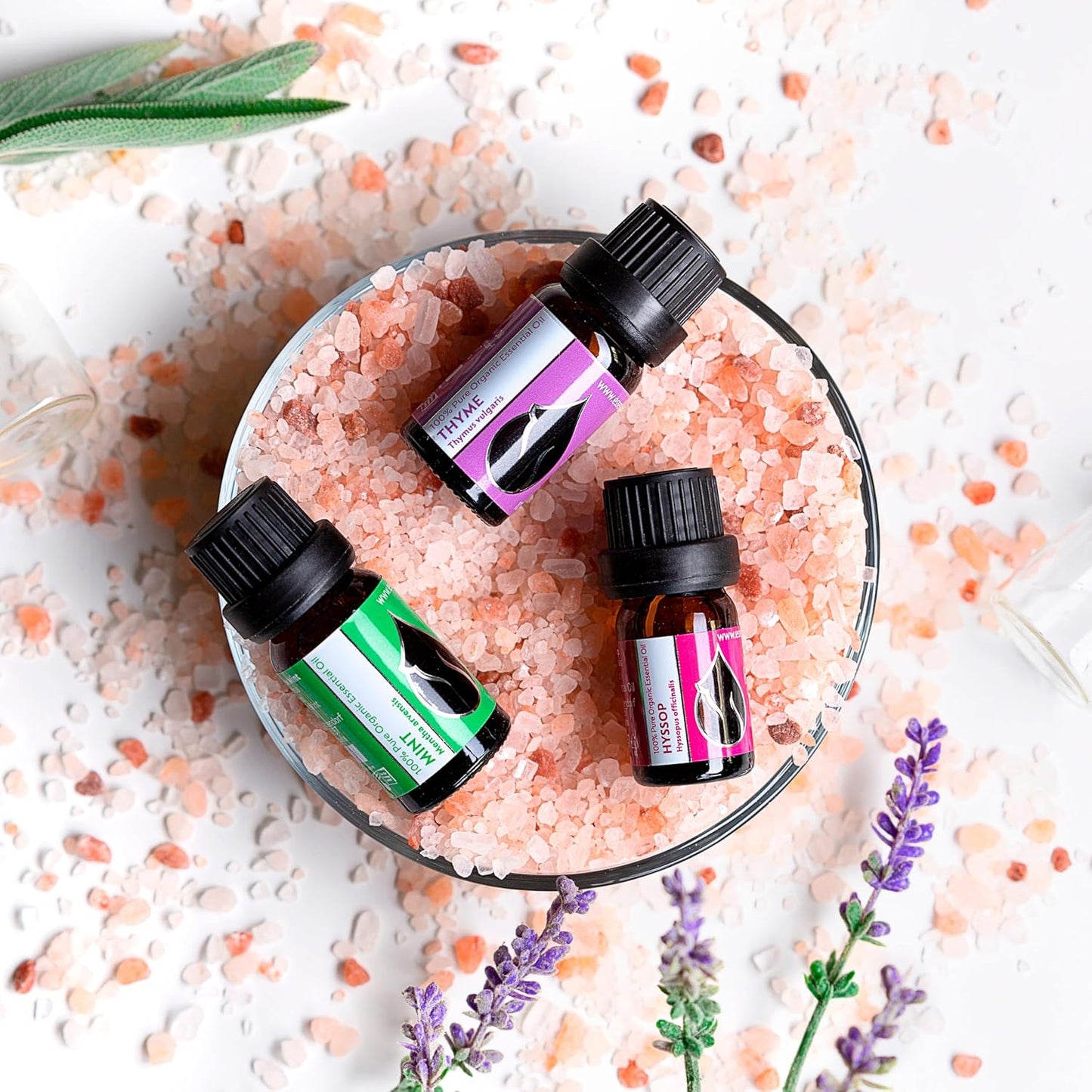 Organic Hyssop Essential Oil 1/6 Fl Oz (5ml) Hyssopus officinalis - 100% Pure and Natural Undiluted Therapeutic Grade Aromatherapy for Diffuser and Muscle Relaxation Massages