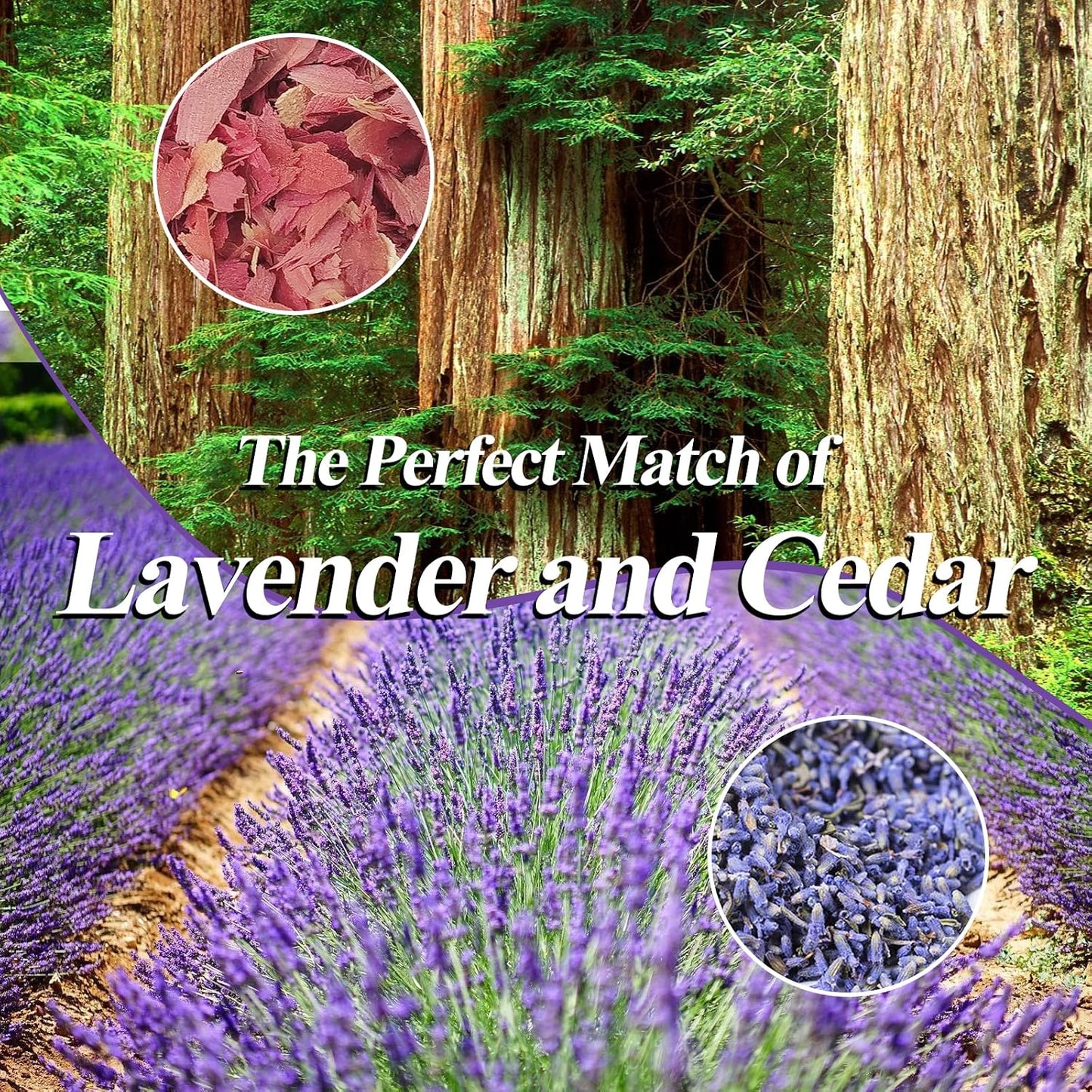 Cedar Space Lavender Sachet Bags for Drawers and Closets(24 Pack),Potpourri Bags,Dried Lavender Flowers,Cedar Blocks for Clothes Storage Scent Air Freshener, Cedar Chips Lavendar for Home Fragrance