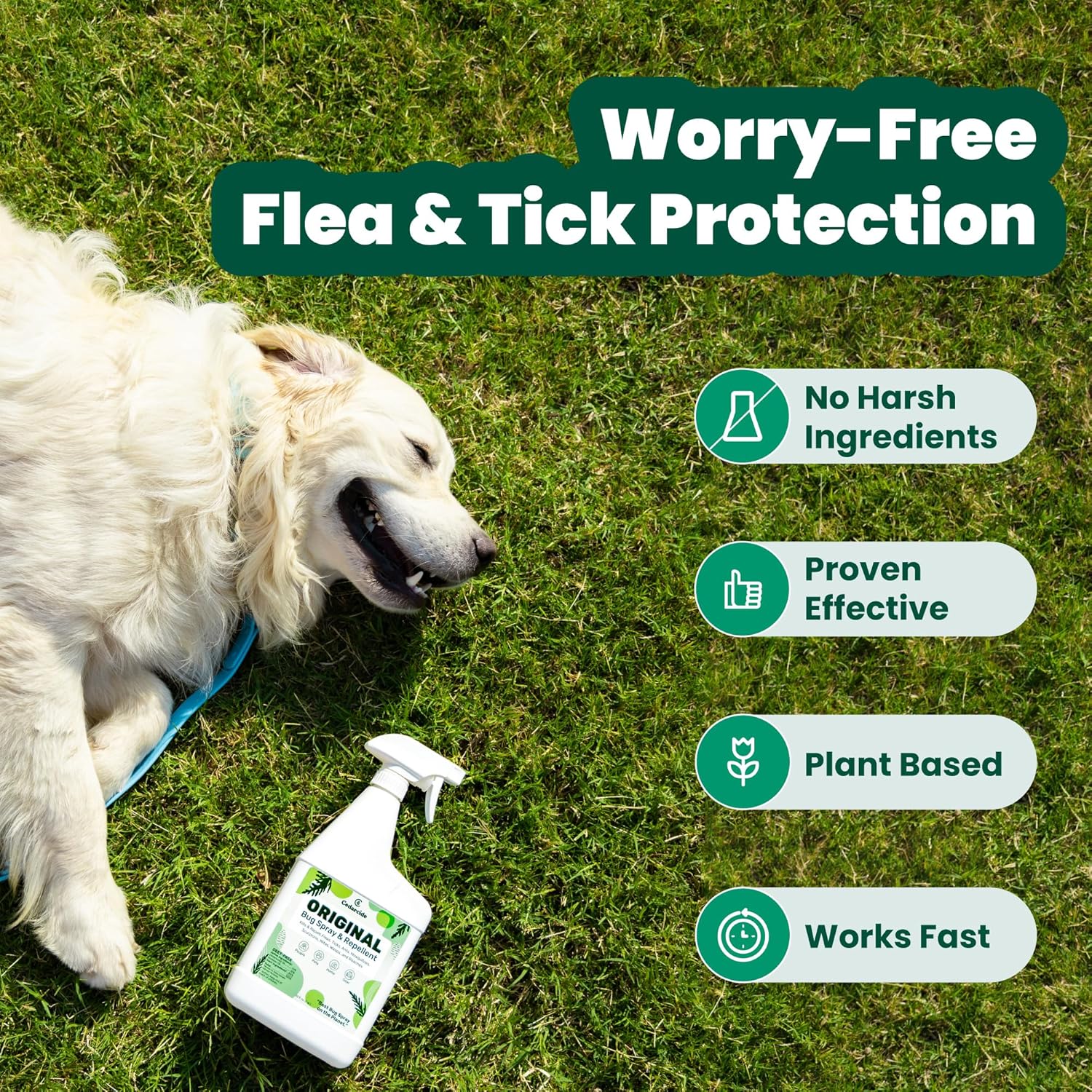 Cedarcide Original Bug Spray | Repel & Kill Fleas, Ticks, Mosquitoes, Mites, Ants & Chiggers | for use on People, Pets & Home | Natural Cedar Oil | Eco-Friendly | Quart