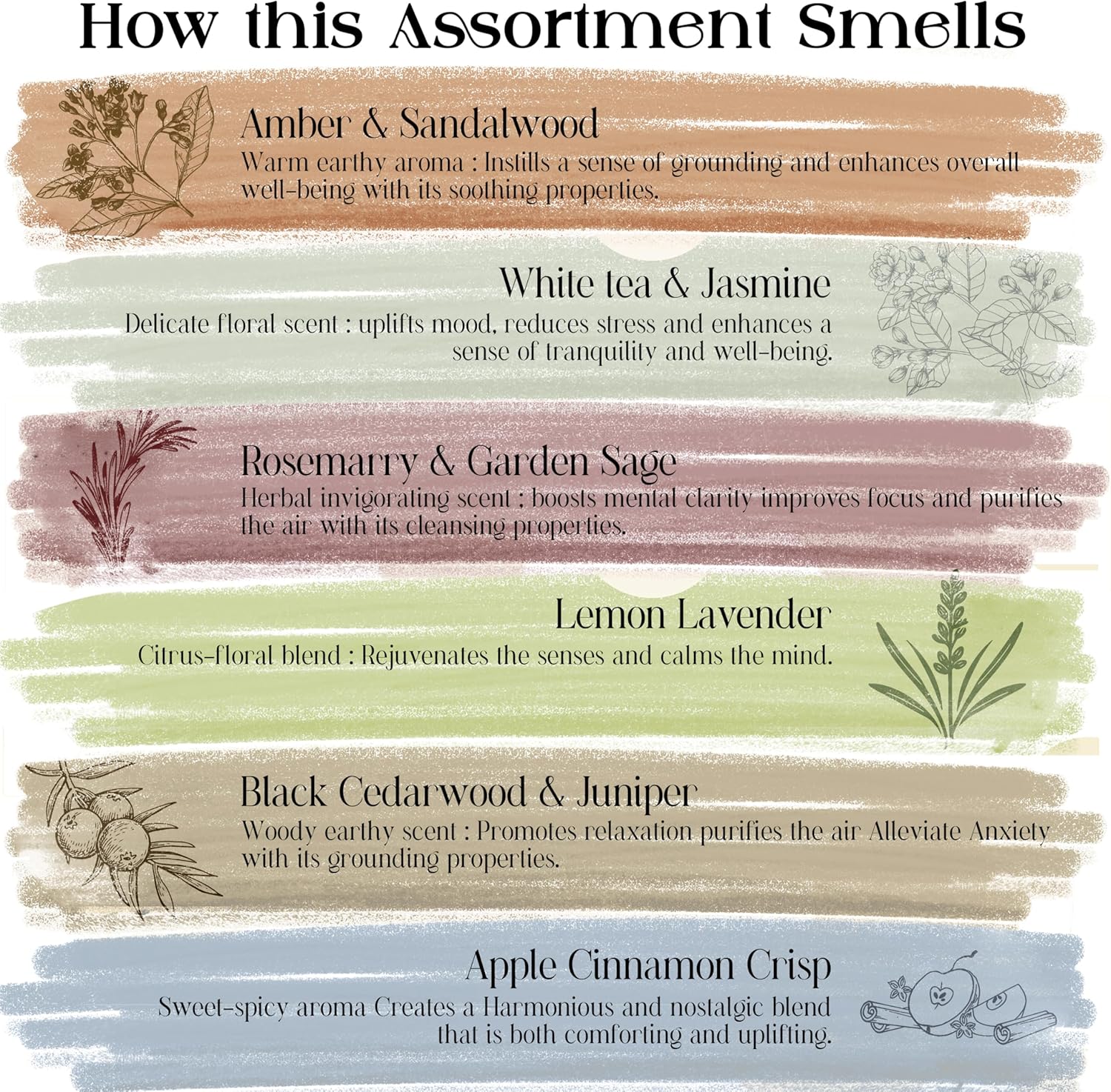 Raajsee Natural Incense Sticks Variety Pack with Incense Stick Holder, Pack of 6 Organic Insence Sticks,120 Inscents-Sticks, Meditation Gifts for Spiritual Cleansing - Organic Incense Sticks Non Toxic