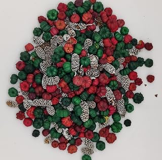 On The Bright Side Mini Putka and Frosted Birch Blend, Good for Christmas Potpourri and Bowl Fillers 4 Heaping Cups, (OTBSRPP35)