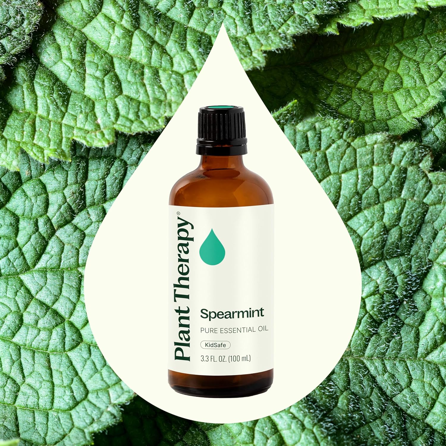 Plant Therapy Spearmint Essential Oil 100 mL (3.3 oz) 100% Pure, Undiluted, Digestive Health, Fresh Scent, Tension Relief