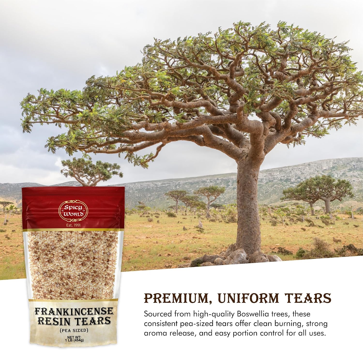 Frankincense Resin Tears Pea Size 1 LB (16oz) Bag - Pure Gum Olibanum, Biblical Resin, Fragrance, Church Incense - by Spicy World