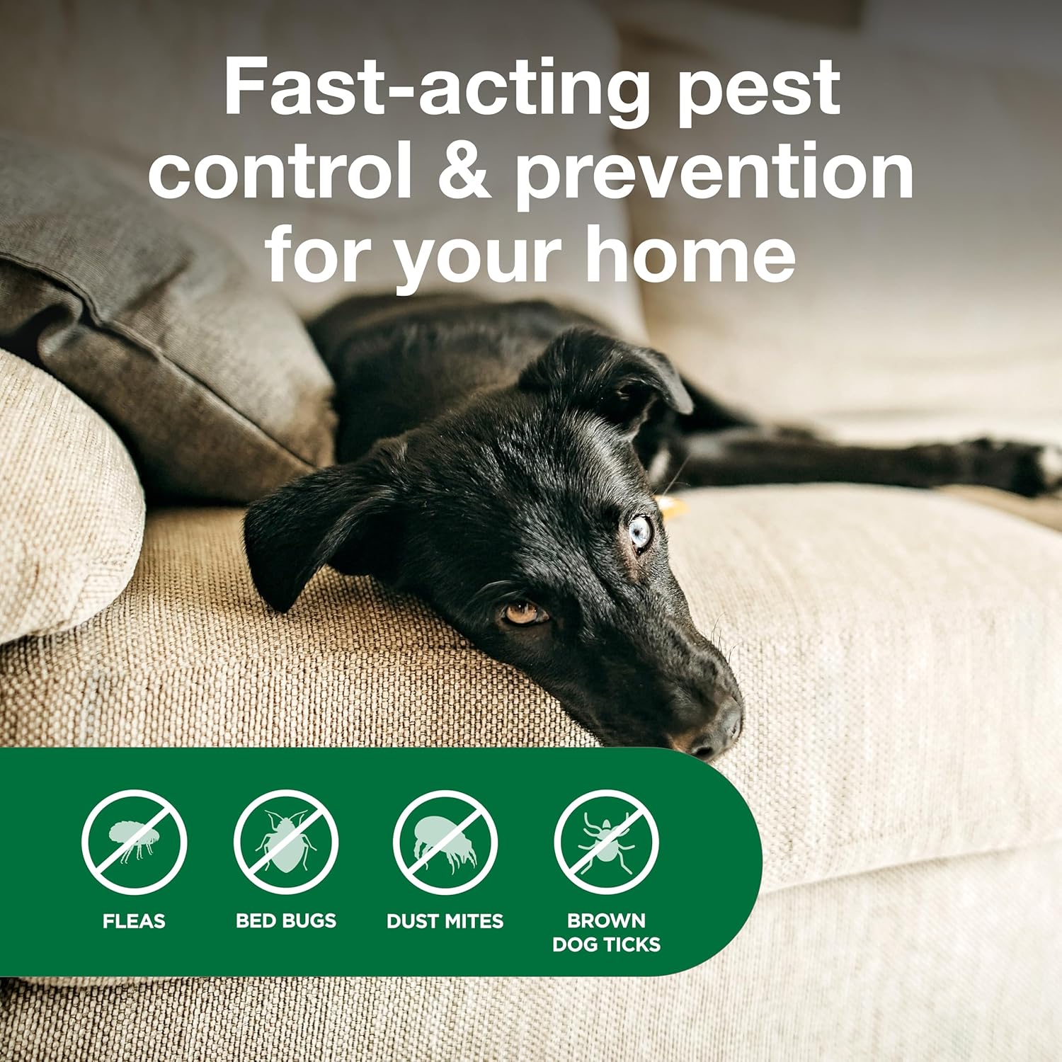 Advantage Household Spot & Crevice Spray | Kills Fleas & Ticks & Bedbugs | 24 oz.
