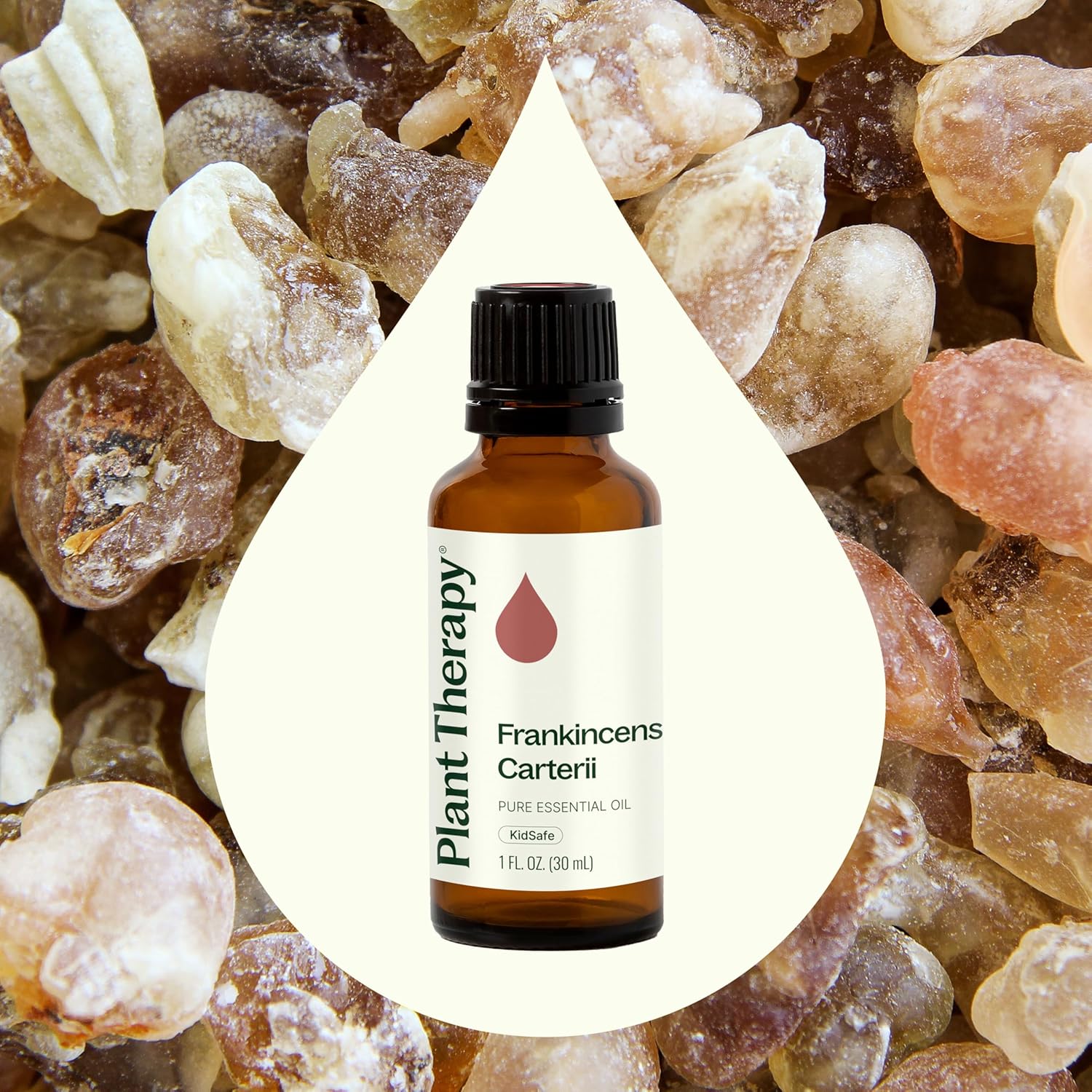 Plant Therapy Frankincense Carterii Essential Oil 30 mL (1 oz), 100% Pure, Undiluted, Natural Aromatherapy, Soothing Essential Oil for Meditation, Skin Irritation, and Sore Muscle Relief