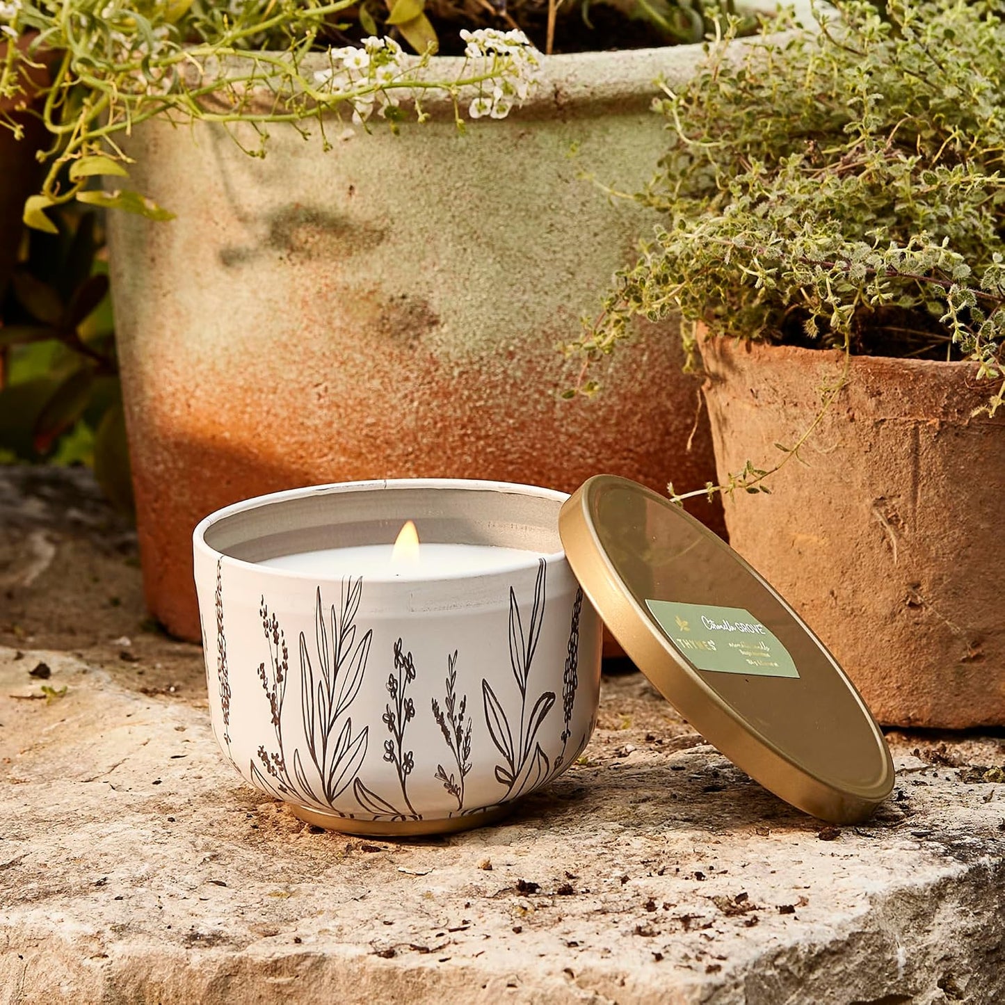 Thymes Scented Candles for Women & Men – Tin with Lid – Luxury Home Decor – Citronella Candles with Notes of Olive Leaf, Lemongrass, & Gardenia – Outdoor Decor (Citronella Grove, 6.5 oz)