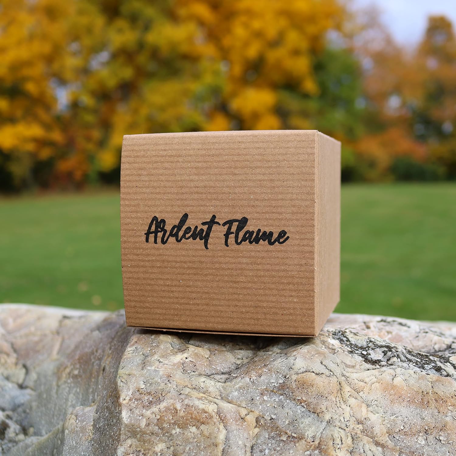 Candles | Vanilla Chai Bliss | 100% Natural Soy Wax Candle for Home Decor | Highly Scented | Premium Fragrance | Handmade in Vermont, USA | 8 oz | Long Lasting | Gift for Women and Men