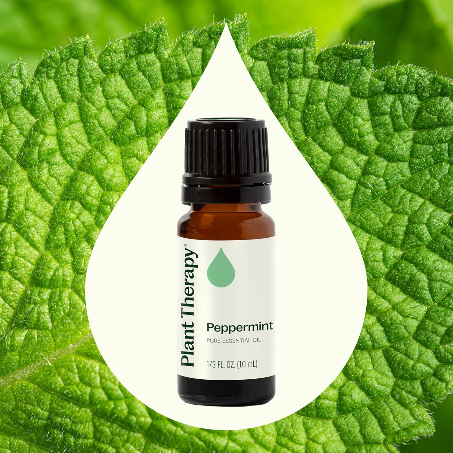 Plant Therapy Peppermint Essential Oil 10 mL (1/3 oz) 100% Pure, Undiluted, Natural Aromatherapy for Diffuser & Topical Use, Digestion, Respiratory, & Massage, Peppermint Oil for Skin & Hair