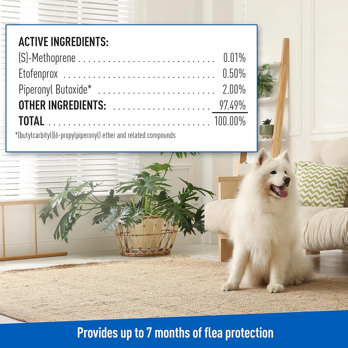 ADAMS Flea & Tick Home Spray for Indoor House Treatment, Tick and Flea Spray for Home, Carpet, Furniture & Pet Bedding, Controls Bed Bugs, Cockroaches, Spiders & Mosquitoes, 8 oz