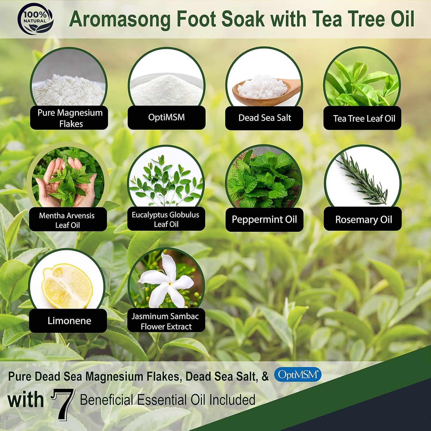 Aromasong Tea Tree Foot Soak with Dead Sea Salt & Magnesium Flakes – Refreshing Foot Bath Salts for Relaxation, Odor Control & Soft Skin (Packaging May Vary)