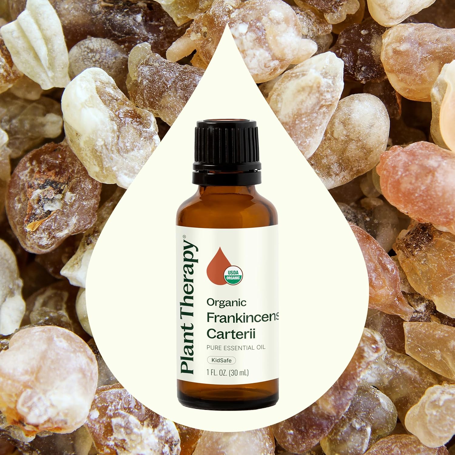 Plant Therapy Organic Frankincense Carterii Essential Oil 30 mL (1 oz) 100% Pure, USDA Certified Organic, Undiluted, Grounding Aromatherapy for Yoga and Meditation