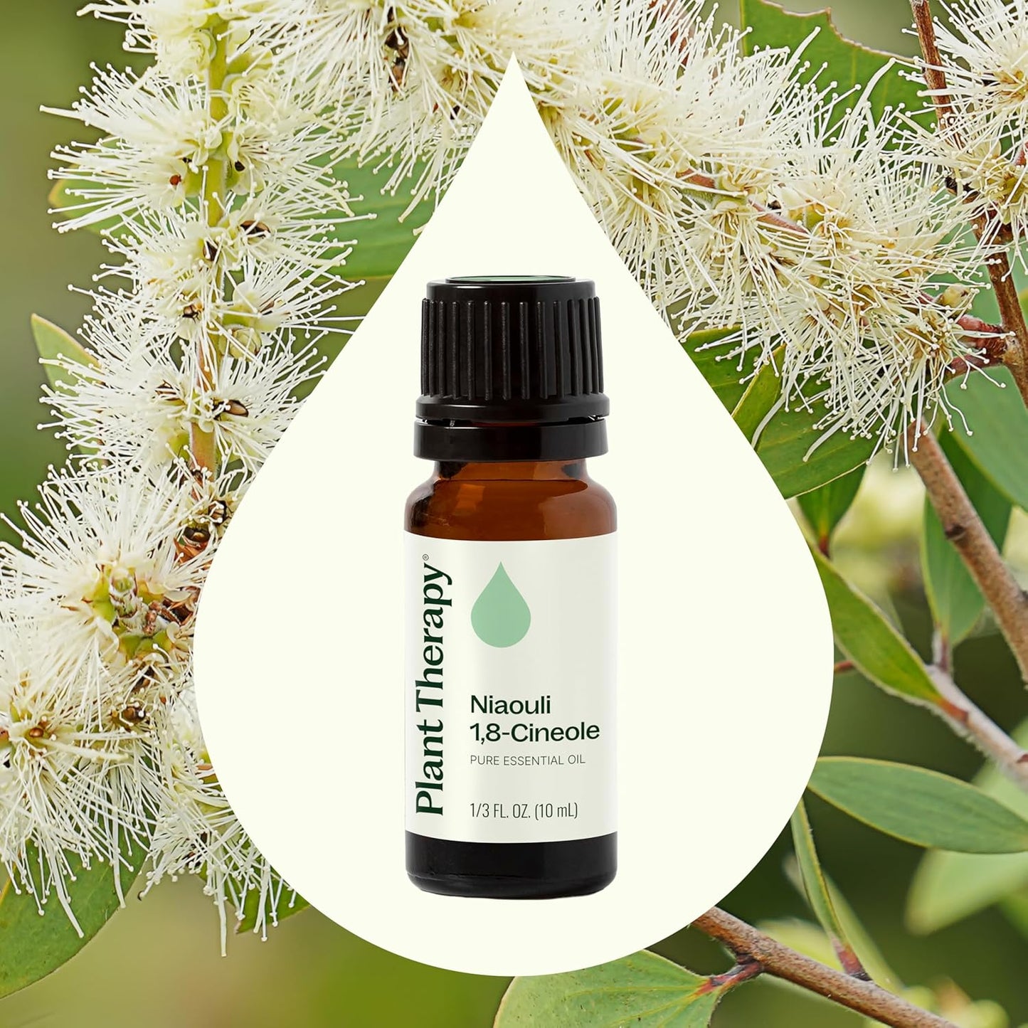 Plant Therapy Niaouli 1,8-Cineole Essential Oil 10 mL (1/3 oz) 100% Pure, Undiluted, Aromatherapy, Soothing Essential Oils for Skin Irritation and Muscle Soreness