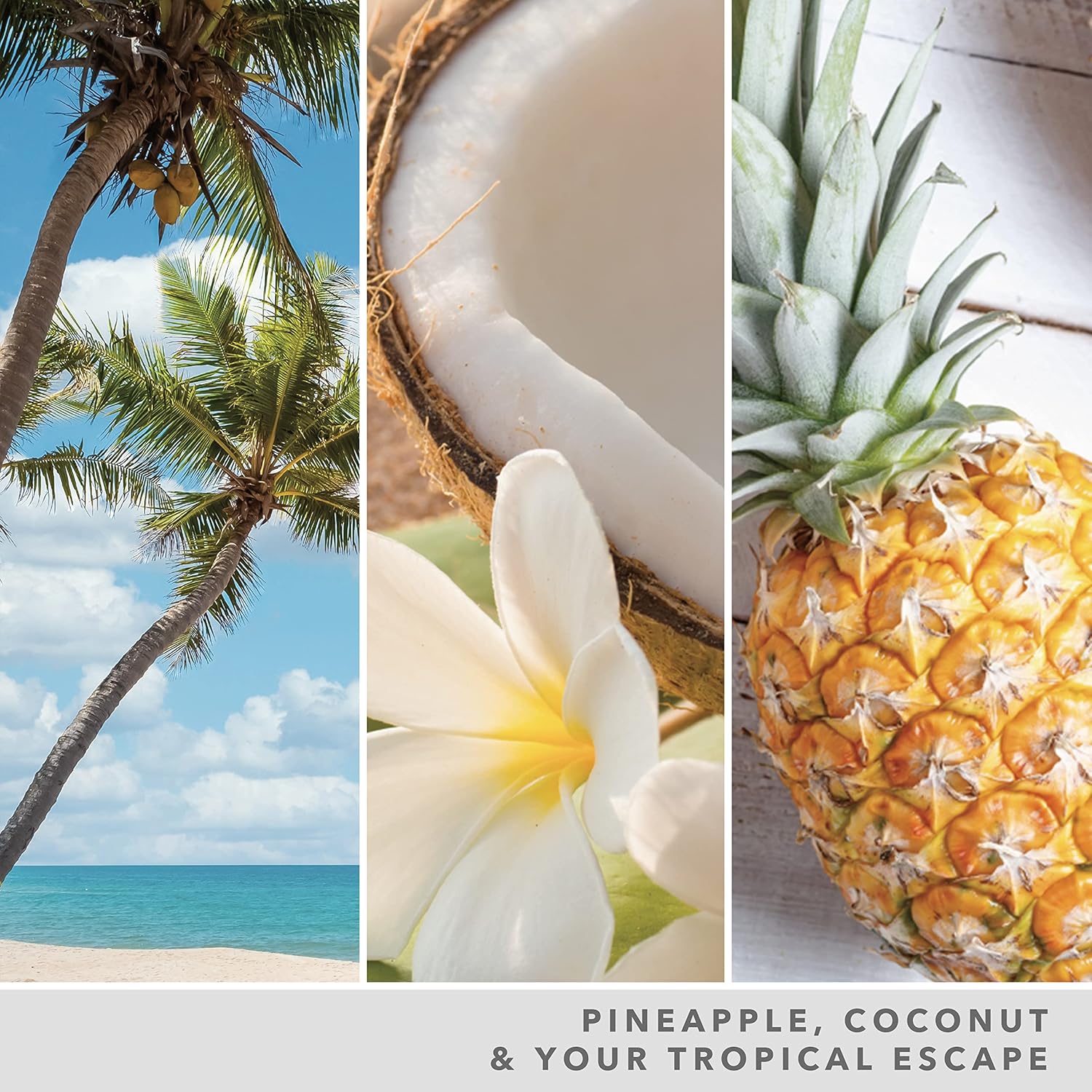 Yankee Candle Signature Scented Candle | Coconut Beach Large Tumbler Candle with Double Wicks | Soy Wax Blend Long Burning Candle | Perfect Gifts for Women