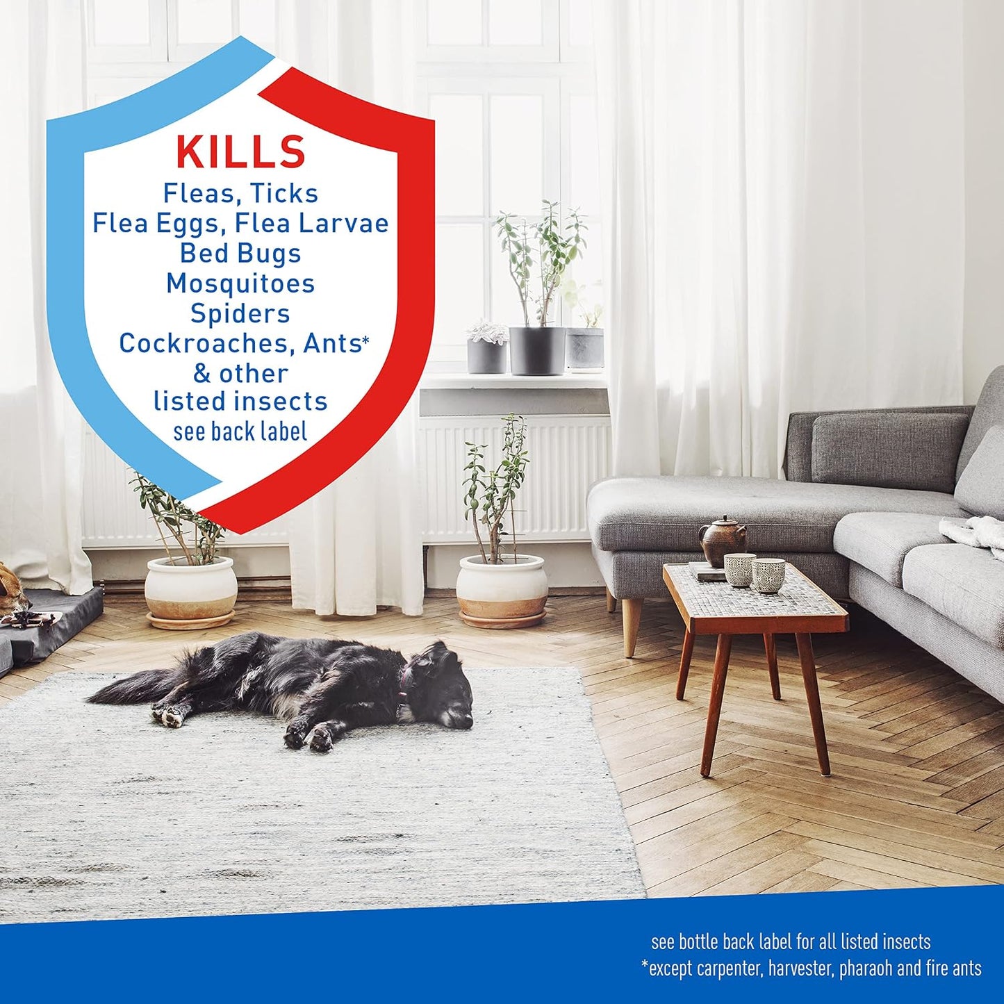 ADAMS Flea & Tick Home Spray for Indoor House Treatment, Tick and Flea Spray for Home, Carpet, Furniture & Pet Bedding, Controls Bed Bugs, Cockroaches, Spiders & Mosquitoes, 8 oz