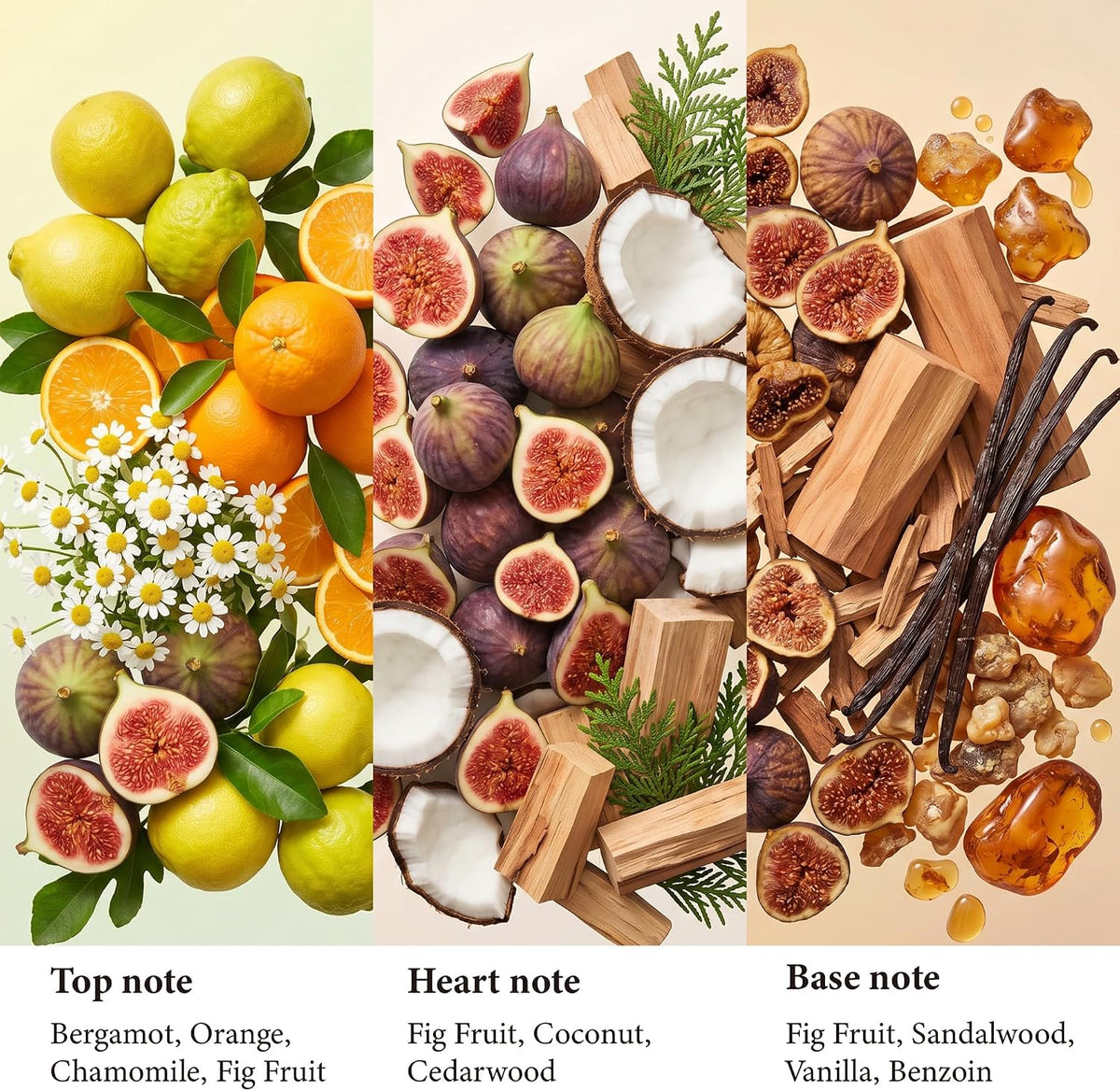 Scented Candle Fig & Fir