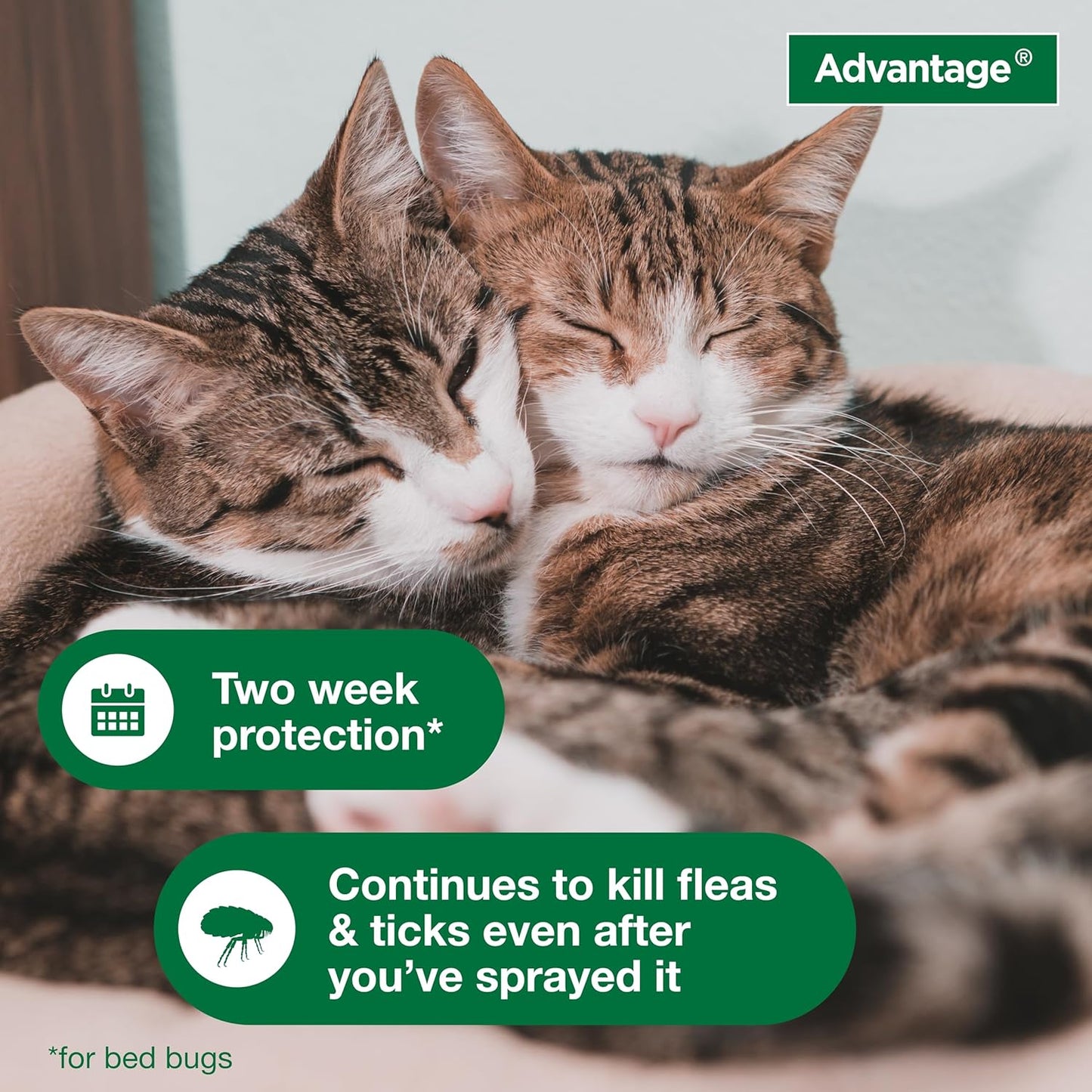 Advantage Household Spot & Crevice Spray | Kills Fleas & Ticks & Bedbugs | 24 oz.