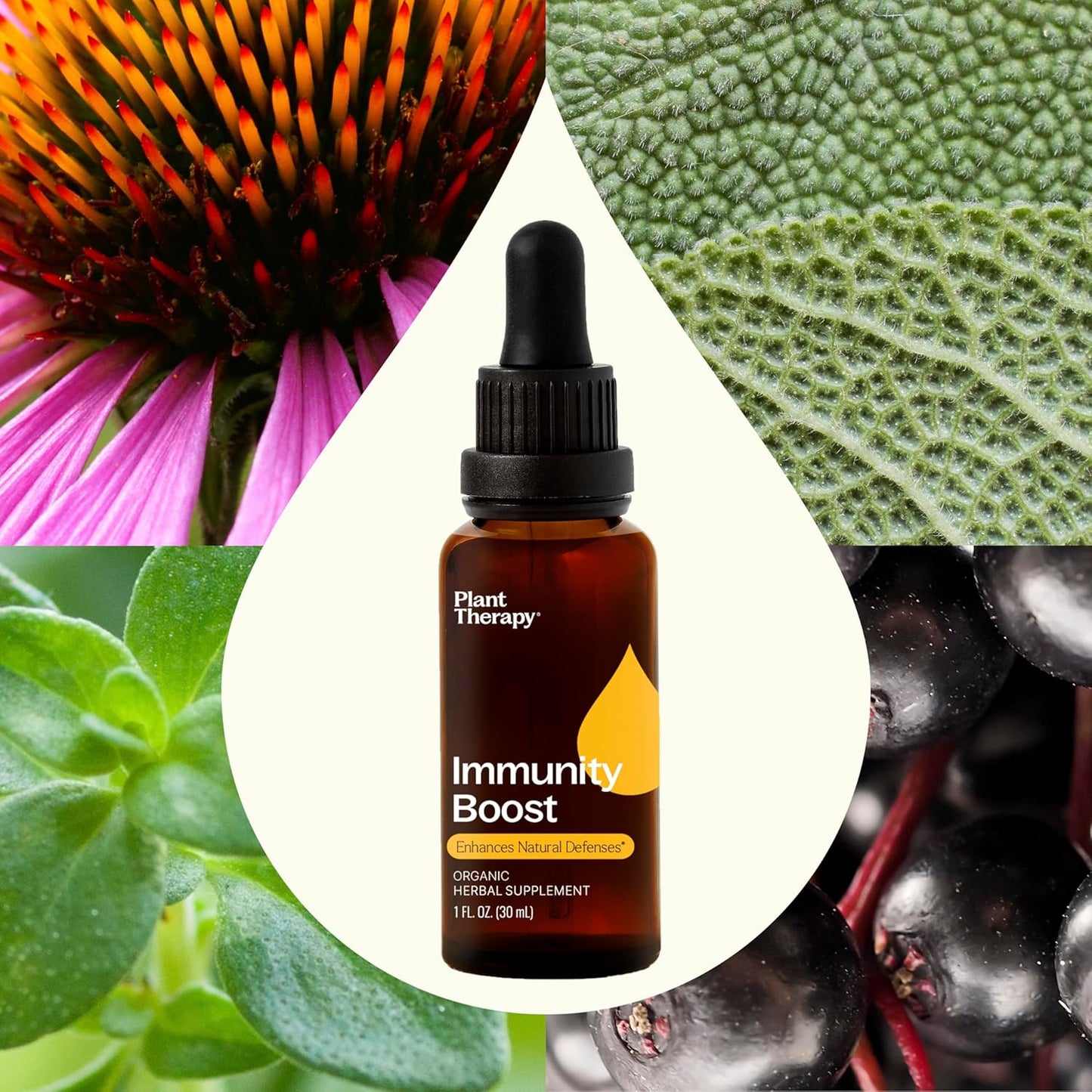 Plant Therapy Organic Immunity Boost Tincture 30 mL (1 oz) with Ehcinacea, Elderberry & Lemon Balm Extract, Supports a Healthy Immune System, Natural Defense Against Seasonal Threats