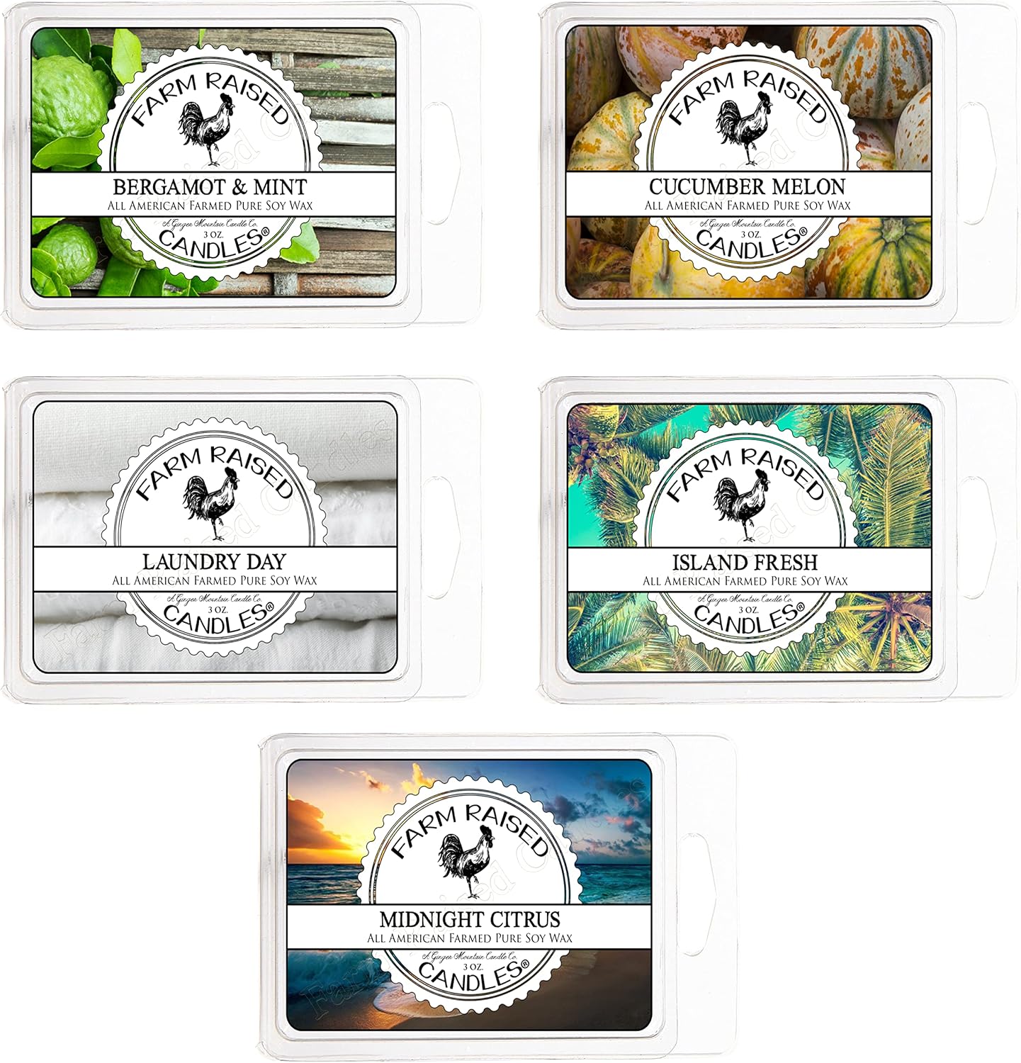 Variety Fresh - Clean, Laundry - 16 Ounce 5 Pack. 100% USA Made Variety Wax Melts - Plant Based Soy