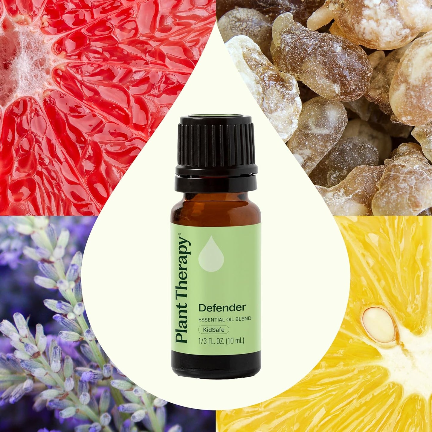 Plant Therapy Defender Essential Oil Blend 10 mL (1/3 oz) – 100% Pure, Undiluted Immune Support & Uplifting Aromatherapy