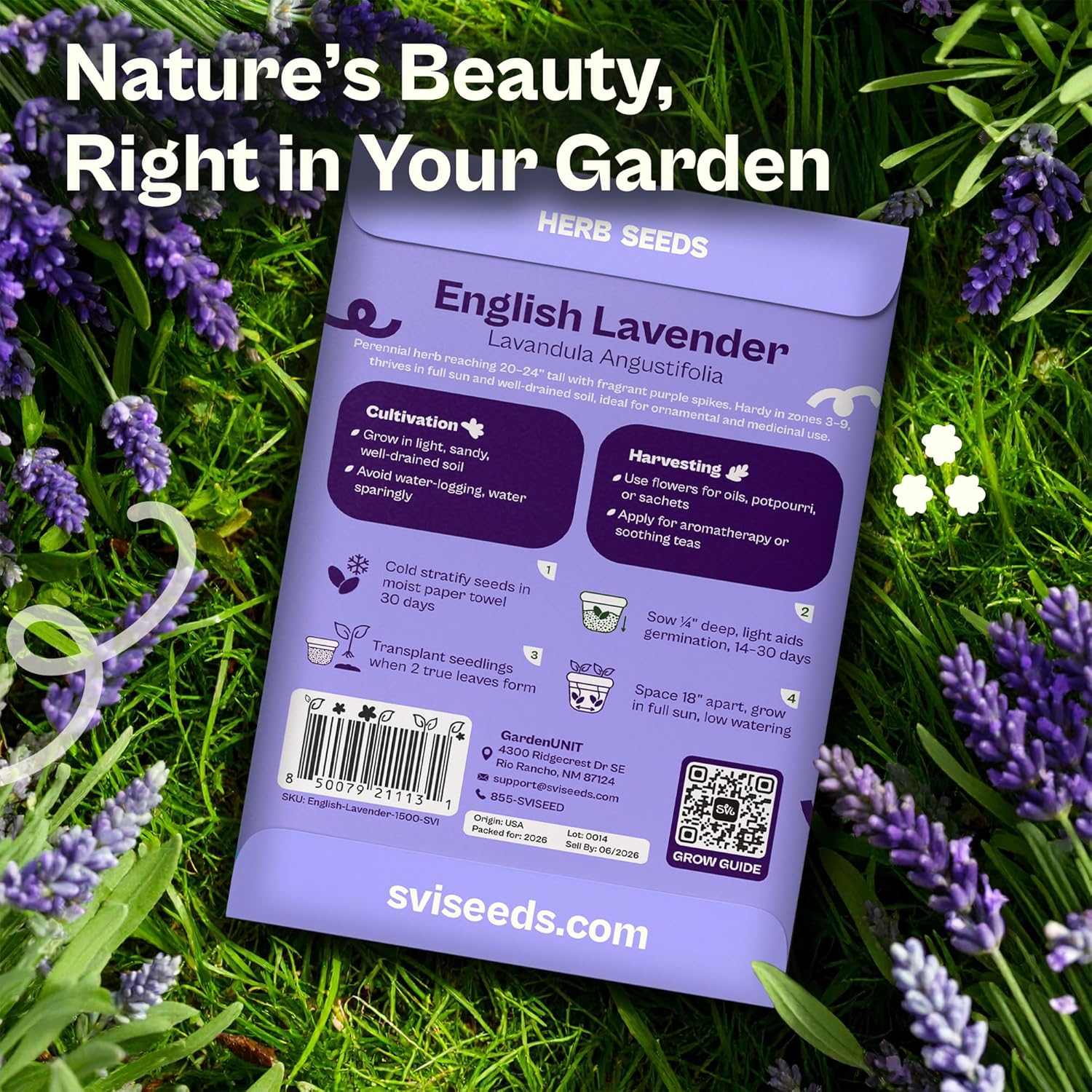 SVI 1500 English Lavender Seeds for Planting (Lavandula angustifolia) – Fragrant Perennial Lavender Flowers – Heirloom Herb Seeds for Borders, Herb Garden & Containers, Wildflower Meadows