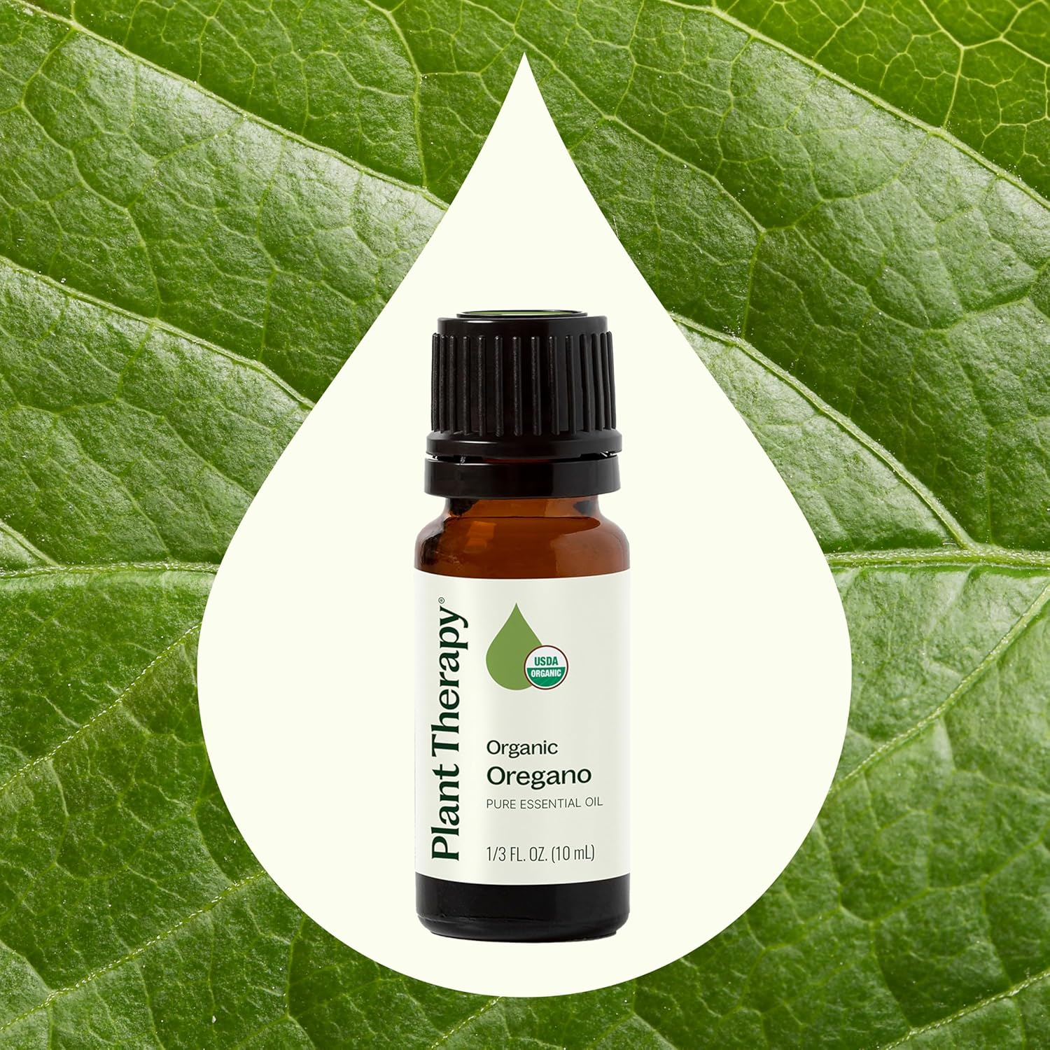 Plant Therapy Organic Oregano Essential Oil, 10 mL (1/3 oz), 100% Pure and Undiluted, USDA Certified Organic, Great for Diffusing and Relaxing Tight Muscles