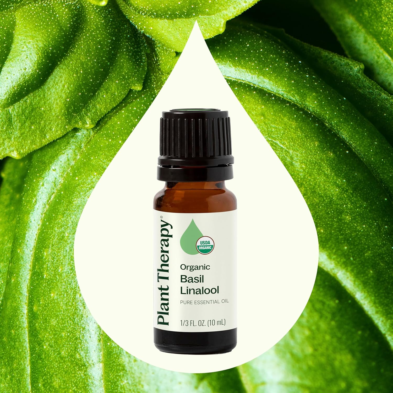 Plant Therapy USDA Certified Organic Basil Linalool Essential Oil 10 mL (1/3 oz) 100% Pure, Undiluted, Aromatherapy, for Muscle Soreness and Digestive Discomfort