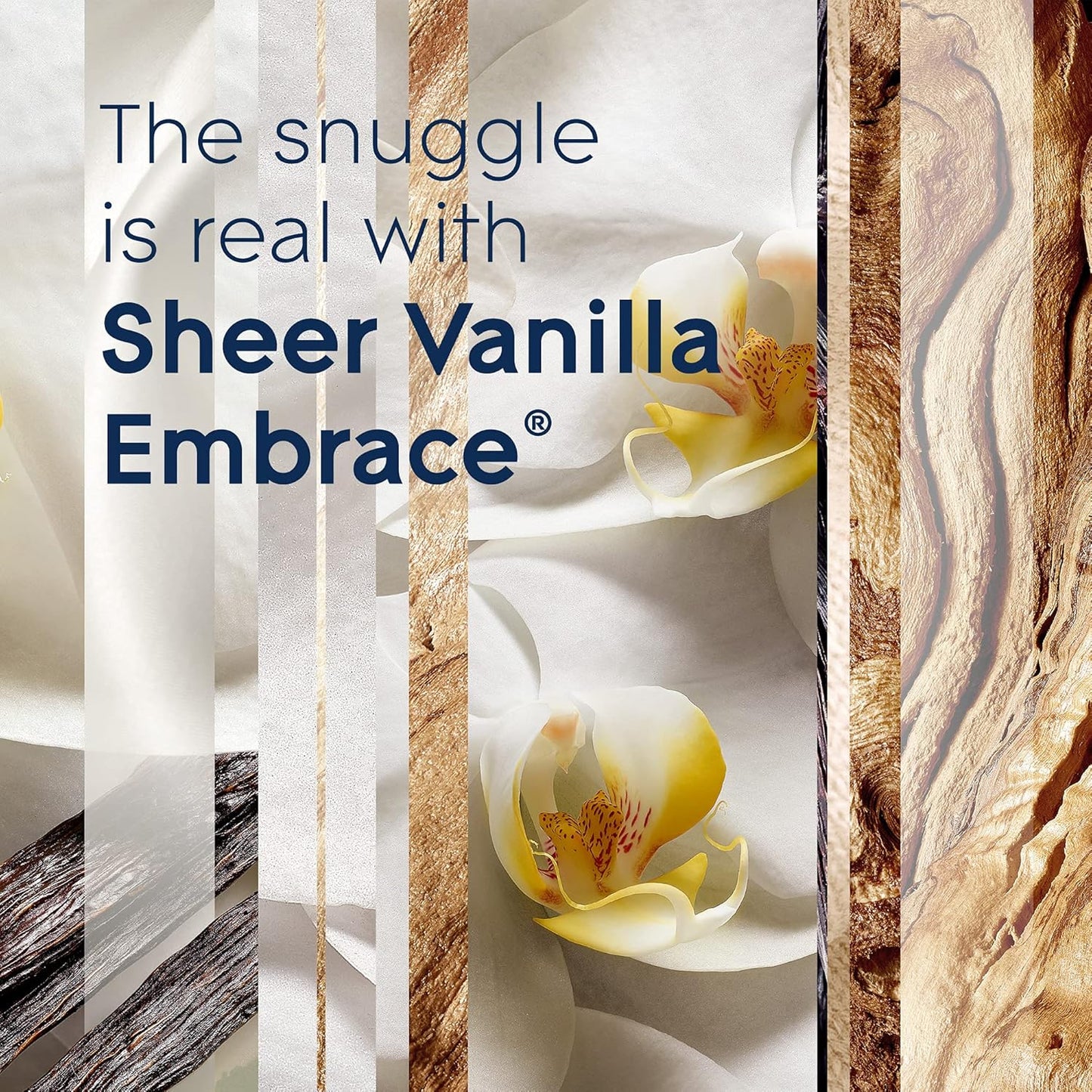 Glade Candle Sheer Vanilla Embrace, Infused with Essential Oils, Air Freshener, 3-Wick Candle, 6.8 Oz